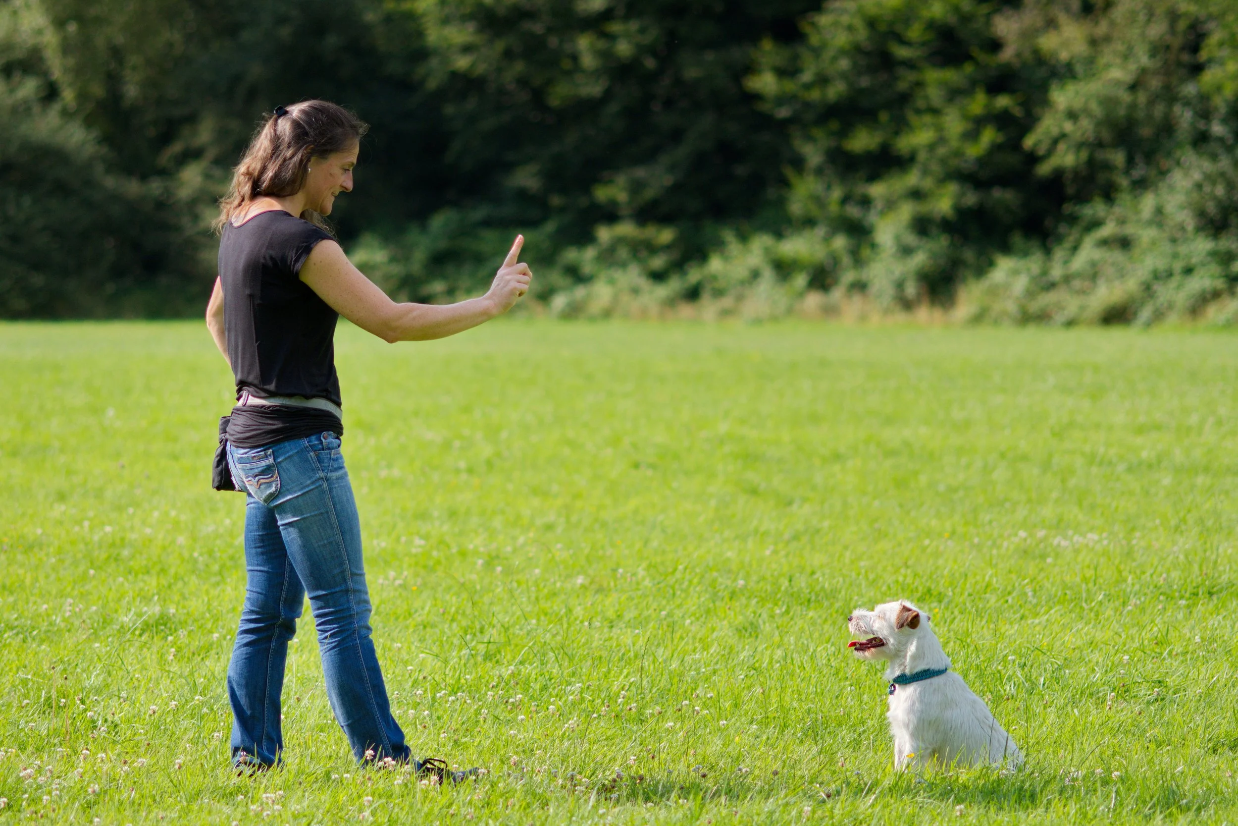 DSC_7446_aus RAW.jpg