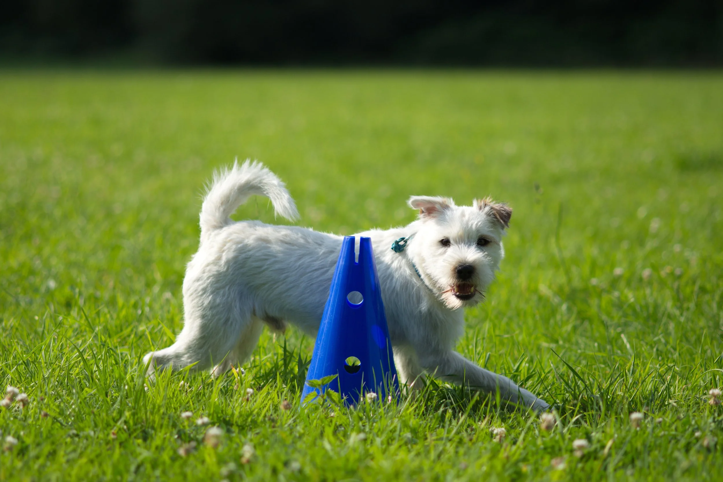 DSC_7609_aus RAW.jpg