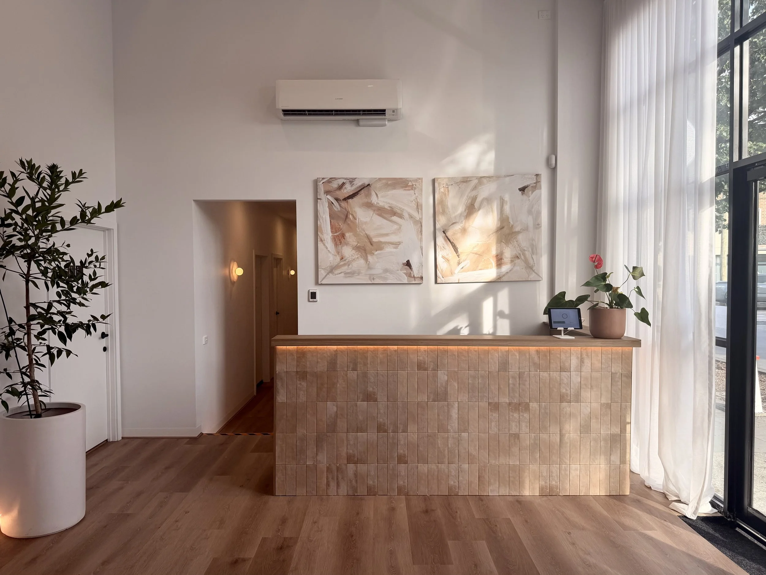 Modern indoor space with a white wall, large abstract paintings, a doorway, a potted plant, a window with sheer curtains, and a kitchen counter with a small electronic device.