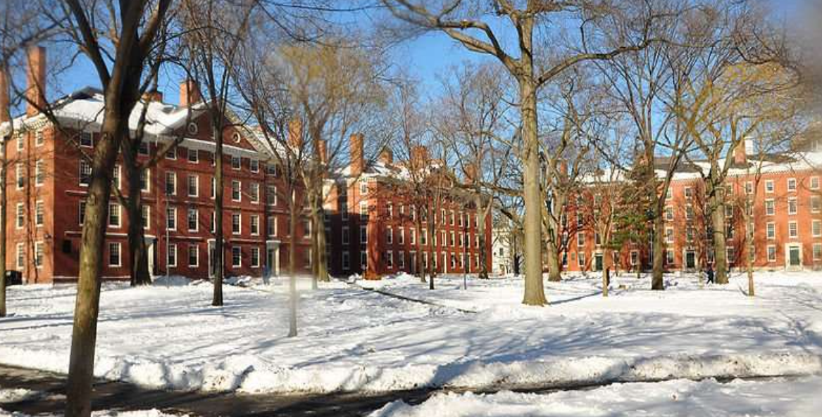 Harvard University Admissions