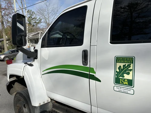 Urban Tree Works photo 7