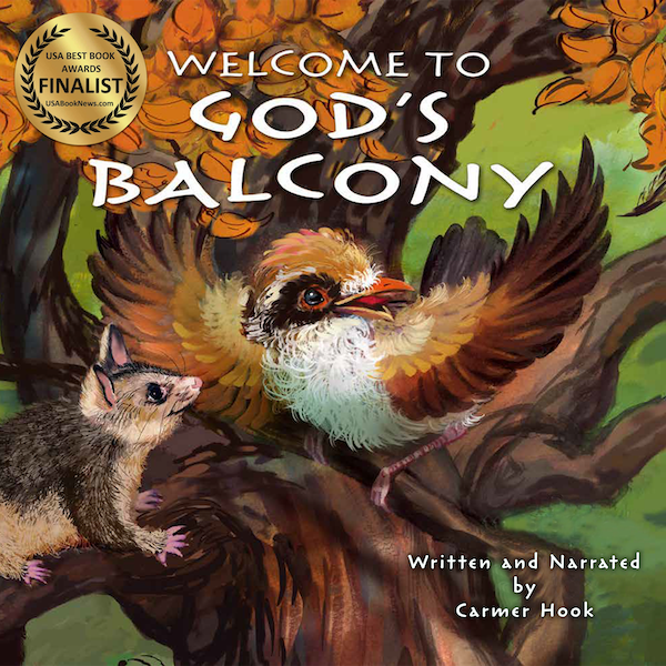 Cover image for 'Welcome to God's Balcony' award winning children's book by Carmer Hook with illustrations by acclaimed Robert Sauber