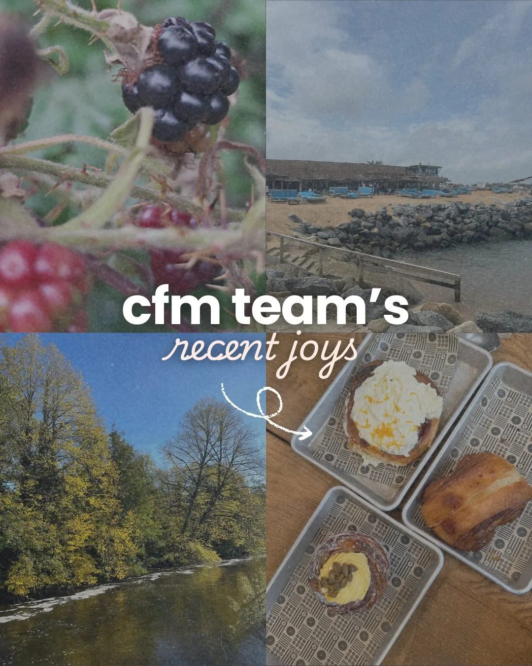 Our team&rsquo;s recent joys 🌍

Different time zones, different moments, same priority: balance.

Great work happens when people are supported, trusted, and given space to live fully. That&rsquo;s not a perk. It&rsquo;s the standard.

#remoteteam #w