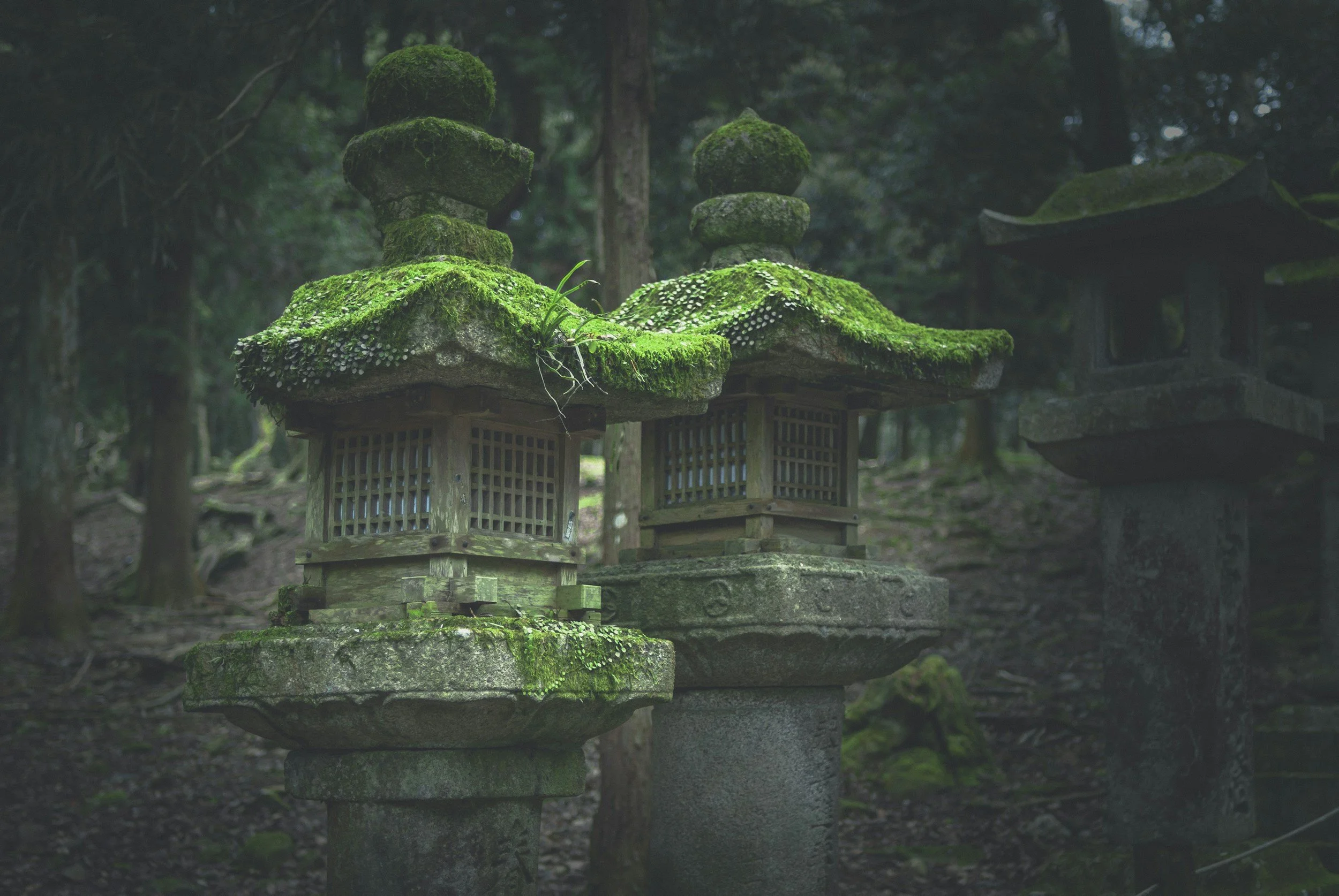 Nara Tour: Exploring Japan's Ancient Capital