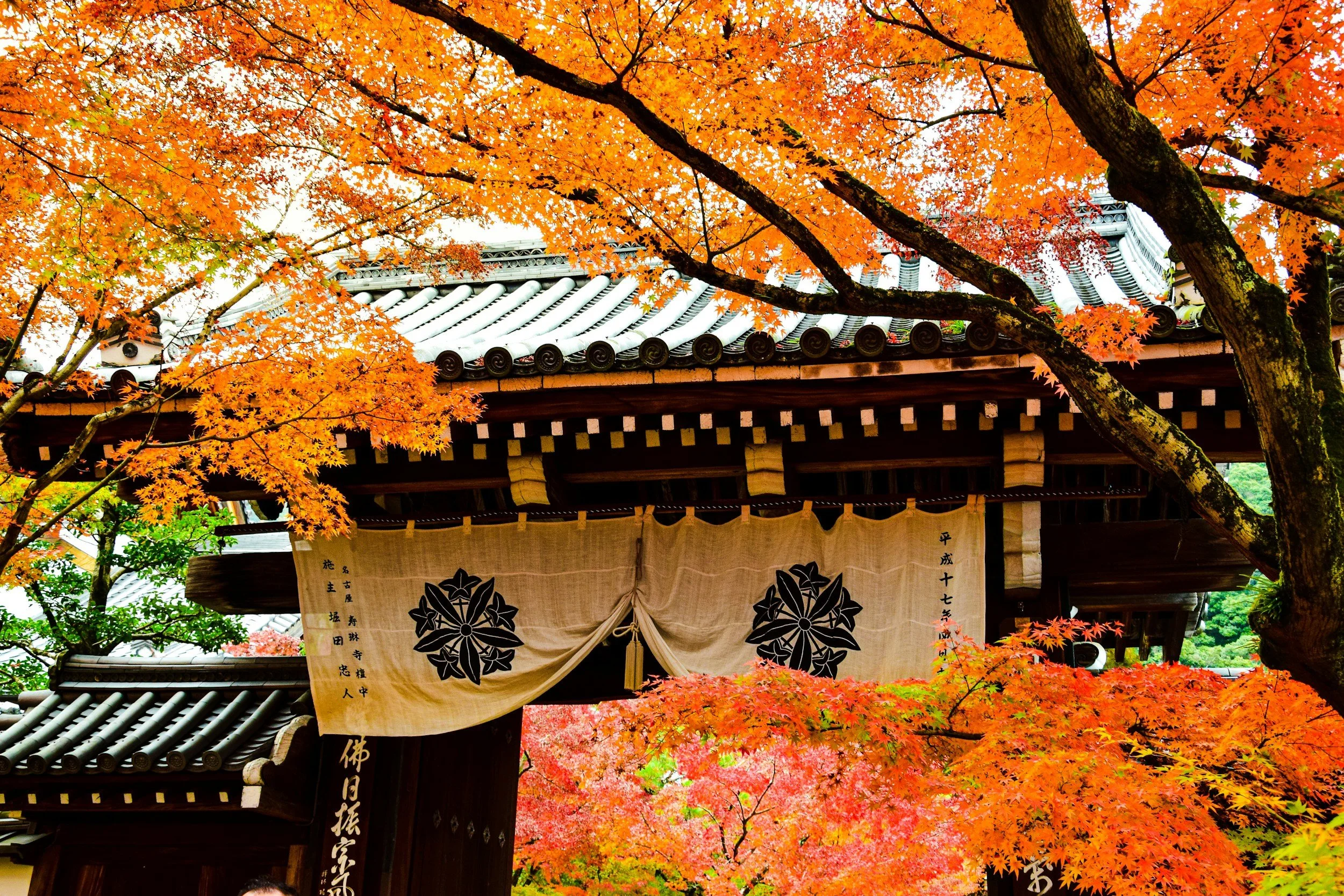 Honeymoon in Kyoto: Romance, Luxury &amp; History