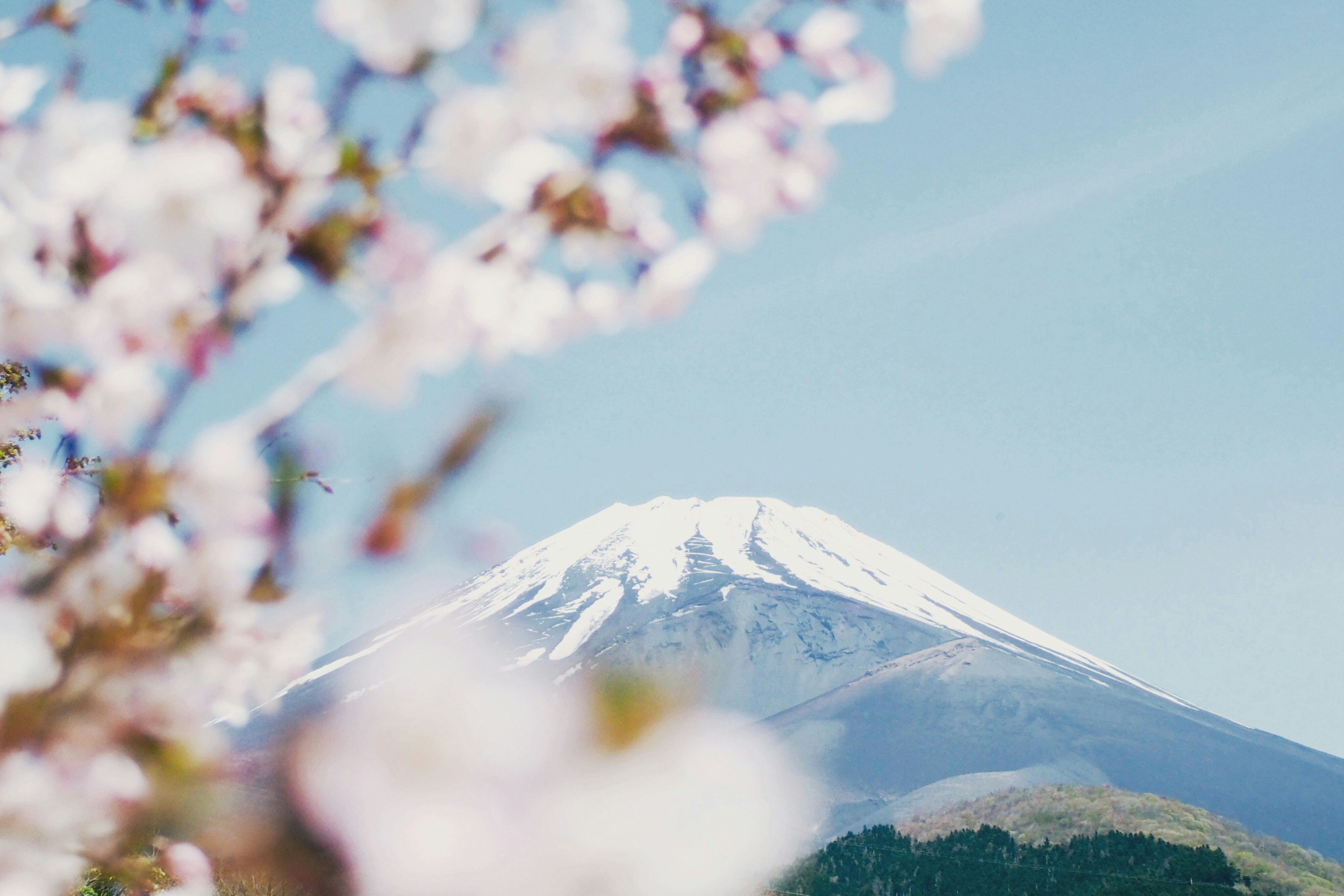 Senior Travel in Japan: A Tour of Discovery