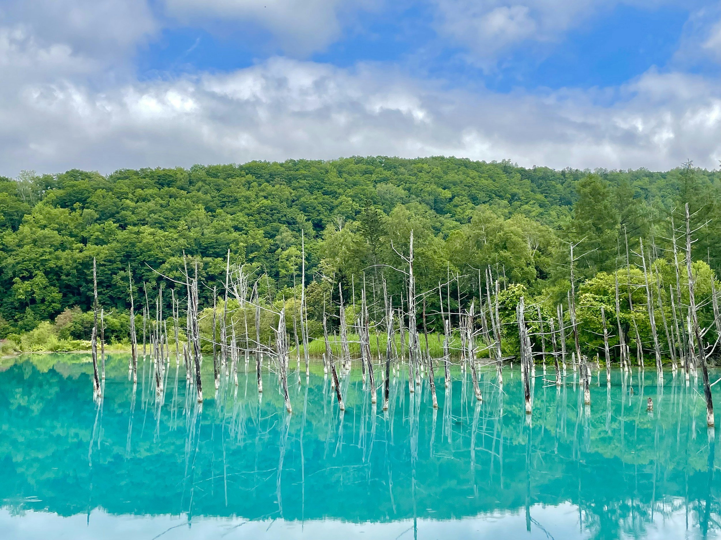 Hokkaido: Japan's Northern Island Frontier