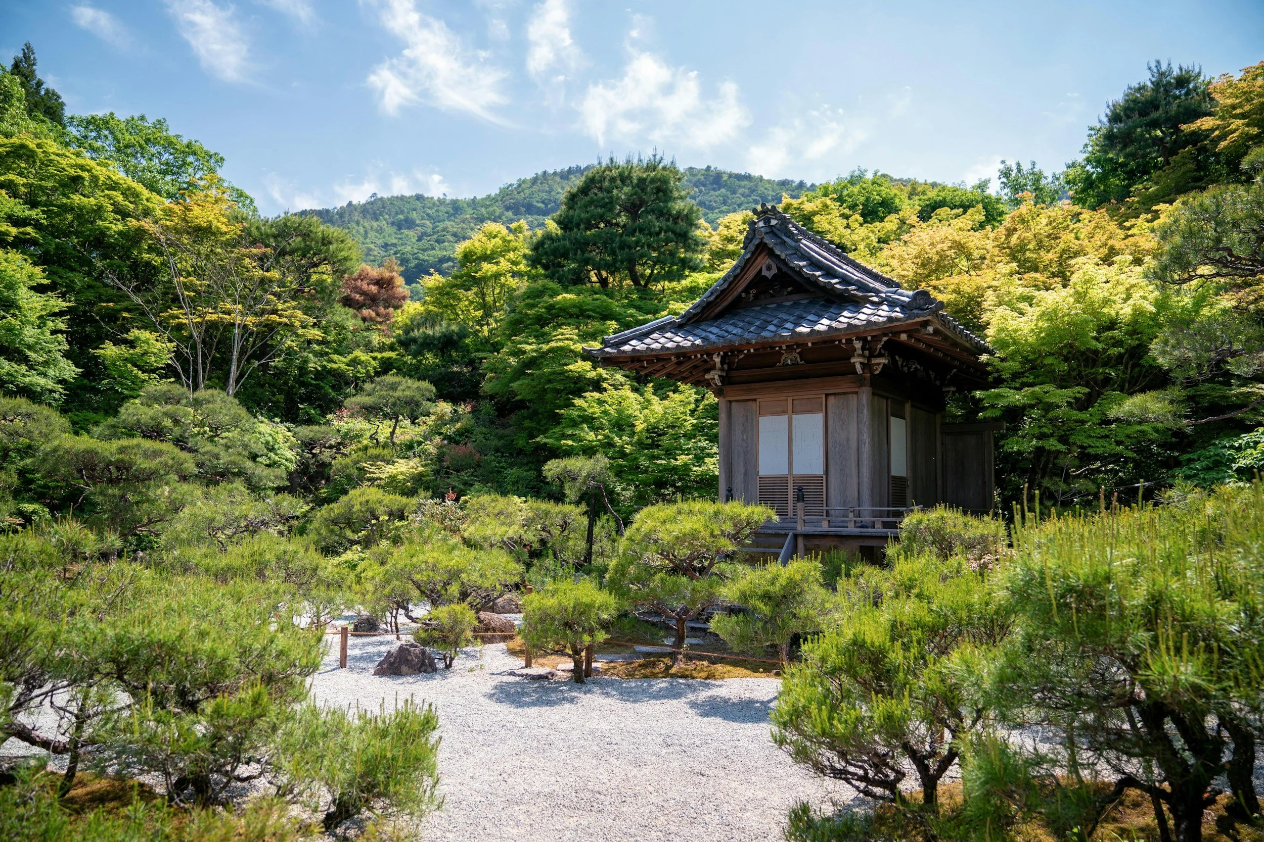 Slow Travel &amp; Digital Detox in Japan