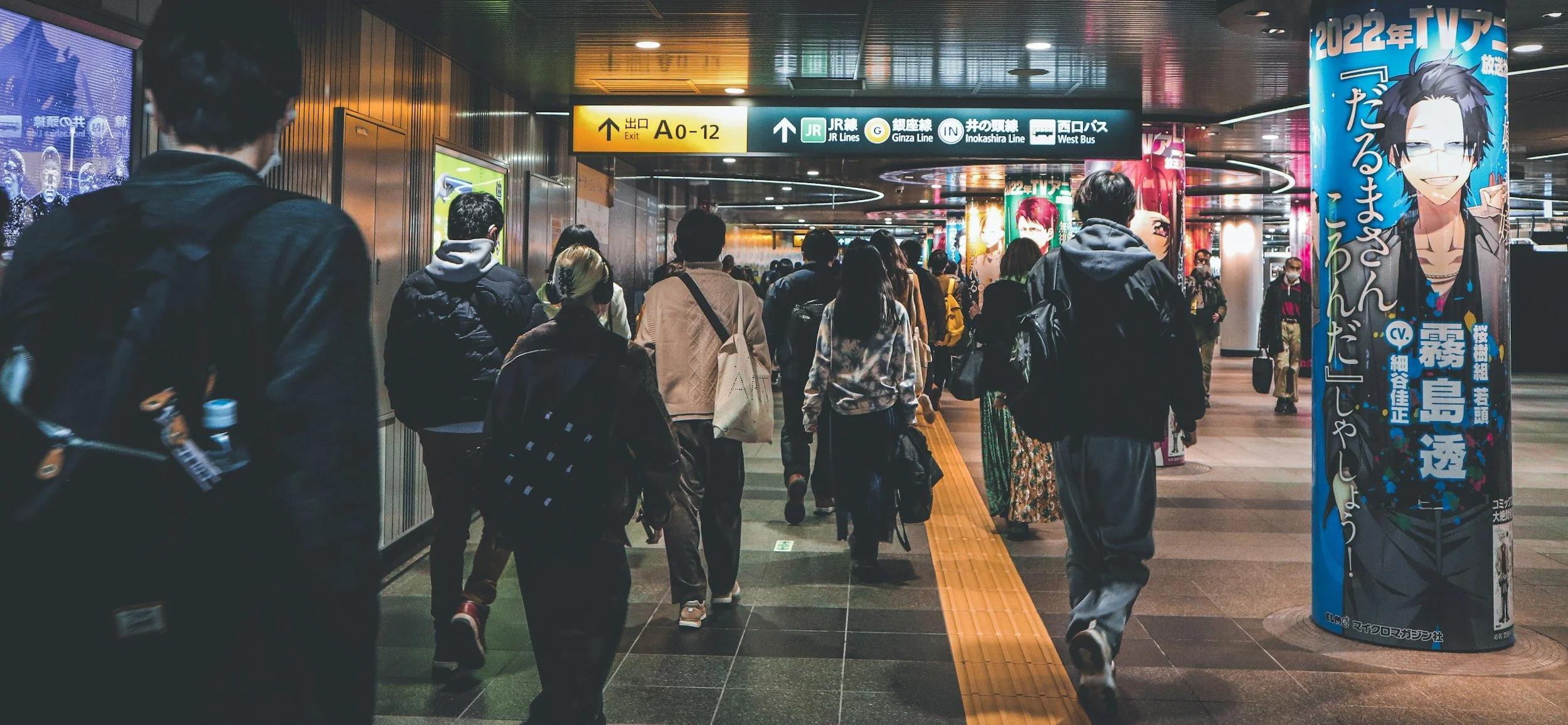 Just How Crowded Is Japan?