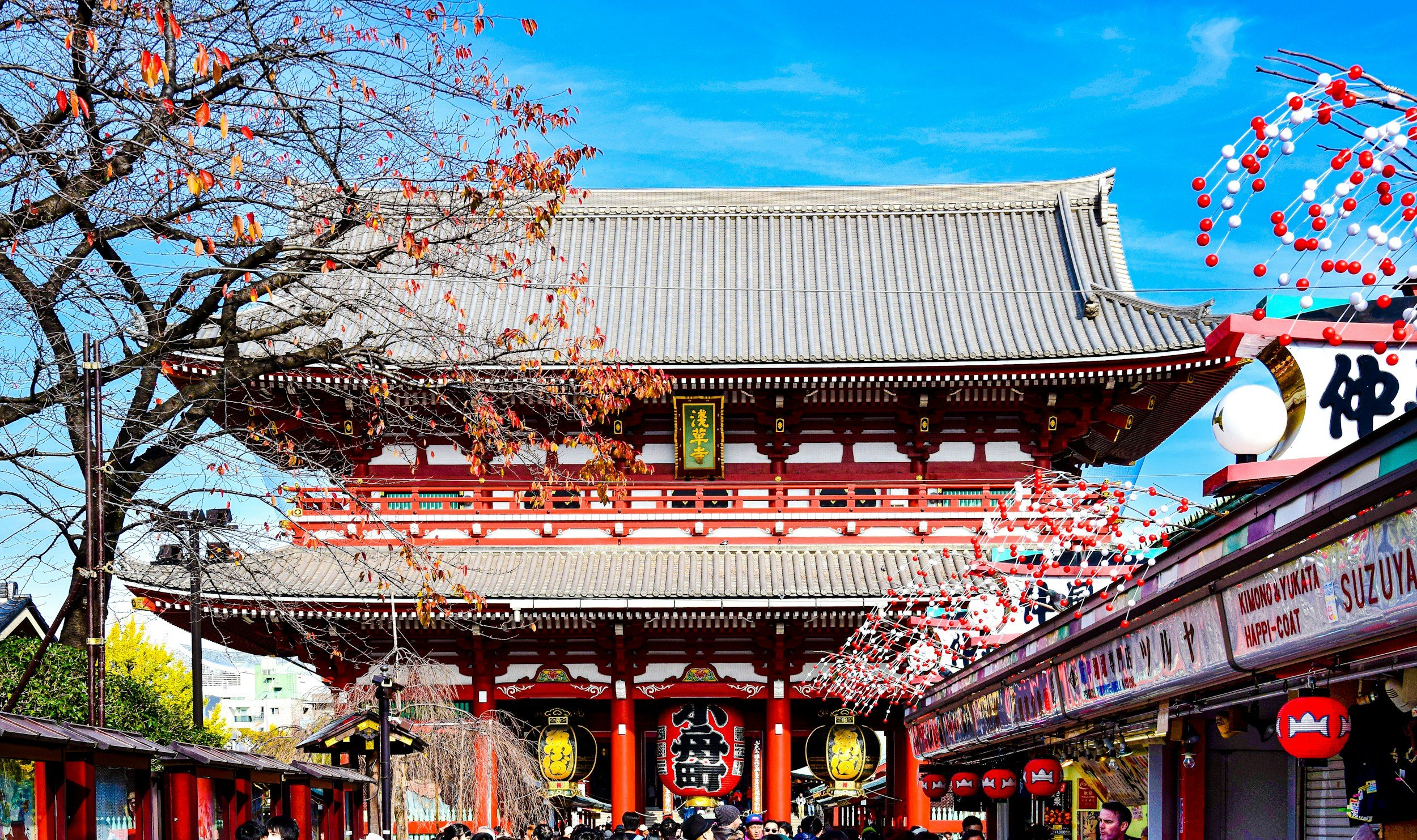 Knowing Japan: An Expert or a Guide?