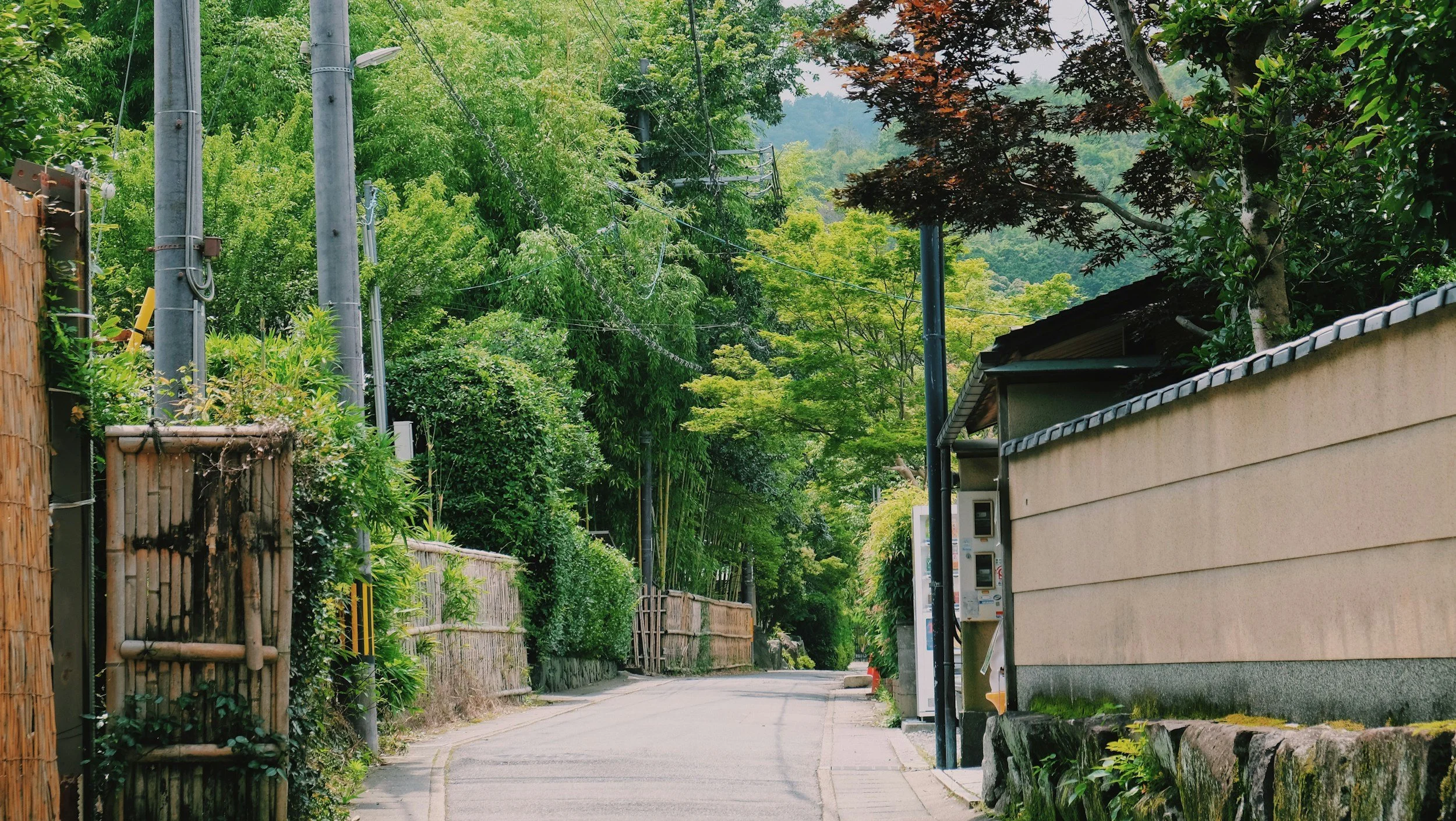 Best Places to Stay in Japan for Travelers Seeking Calm &amp; Character