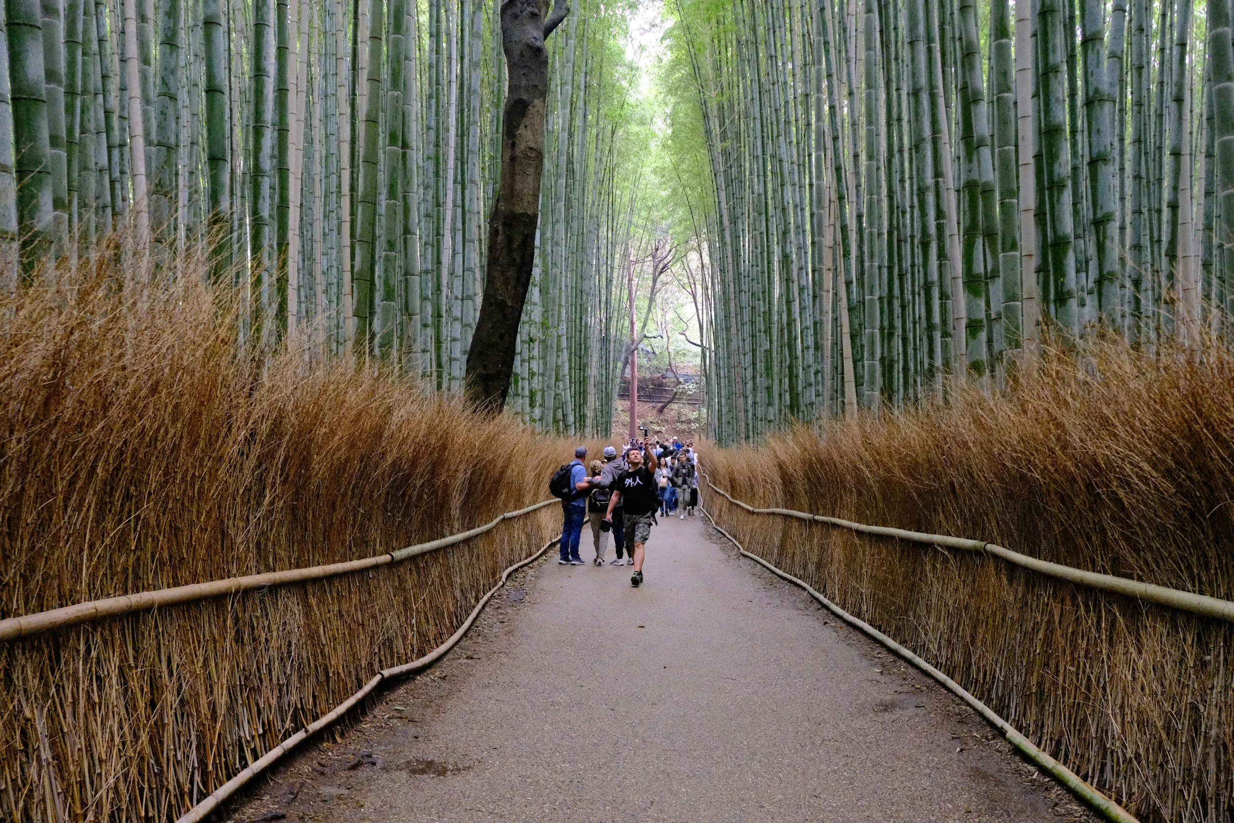 How People Who Visit Japan Have Different Experiences