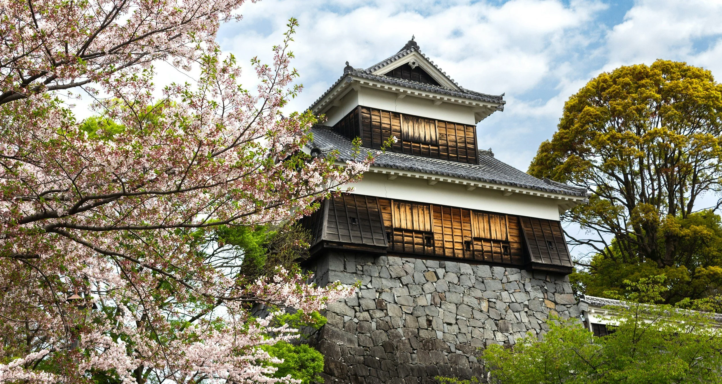 Japan Travel: What to Book Ahead, What to Leave for Improvisation