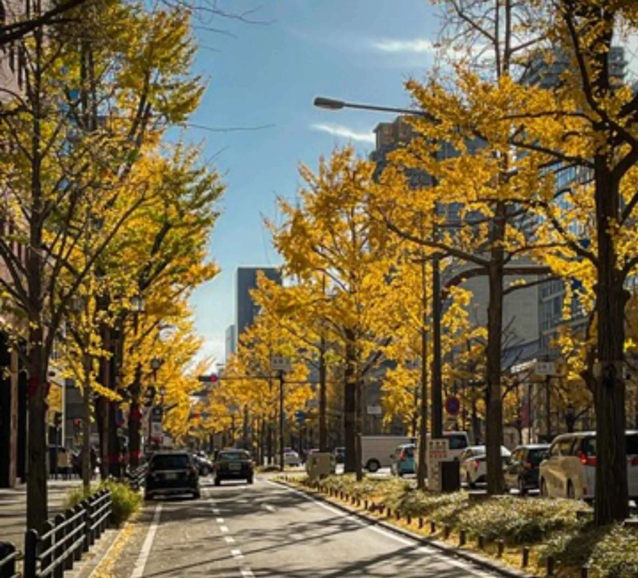 Fall Colors in Japan: Add a Burst to Your Travels