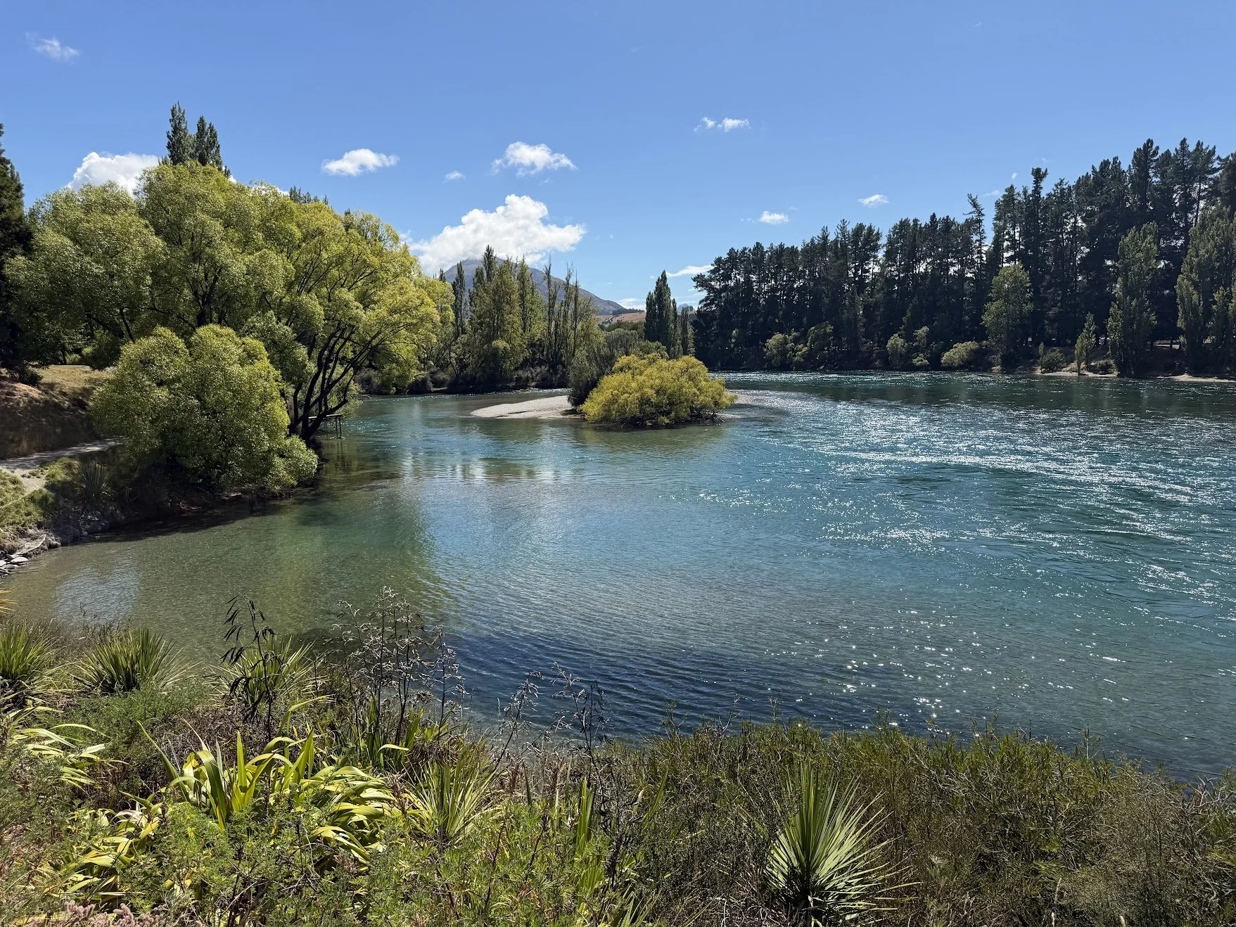 Lower South Island Rail Recycling Opportunities