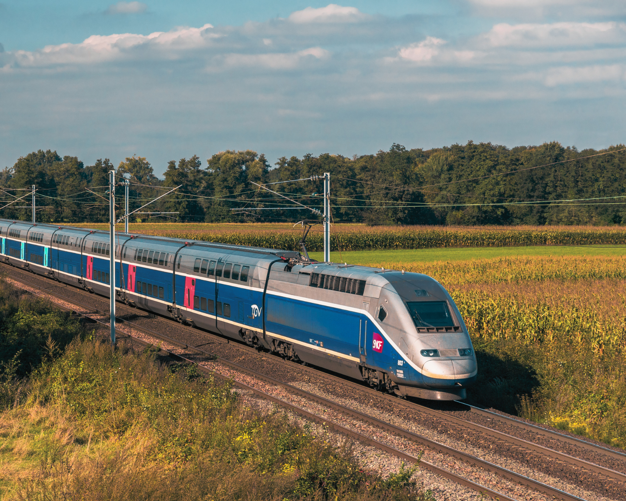 Le projet SNCF (Optim'services)