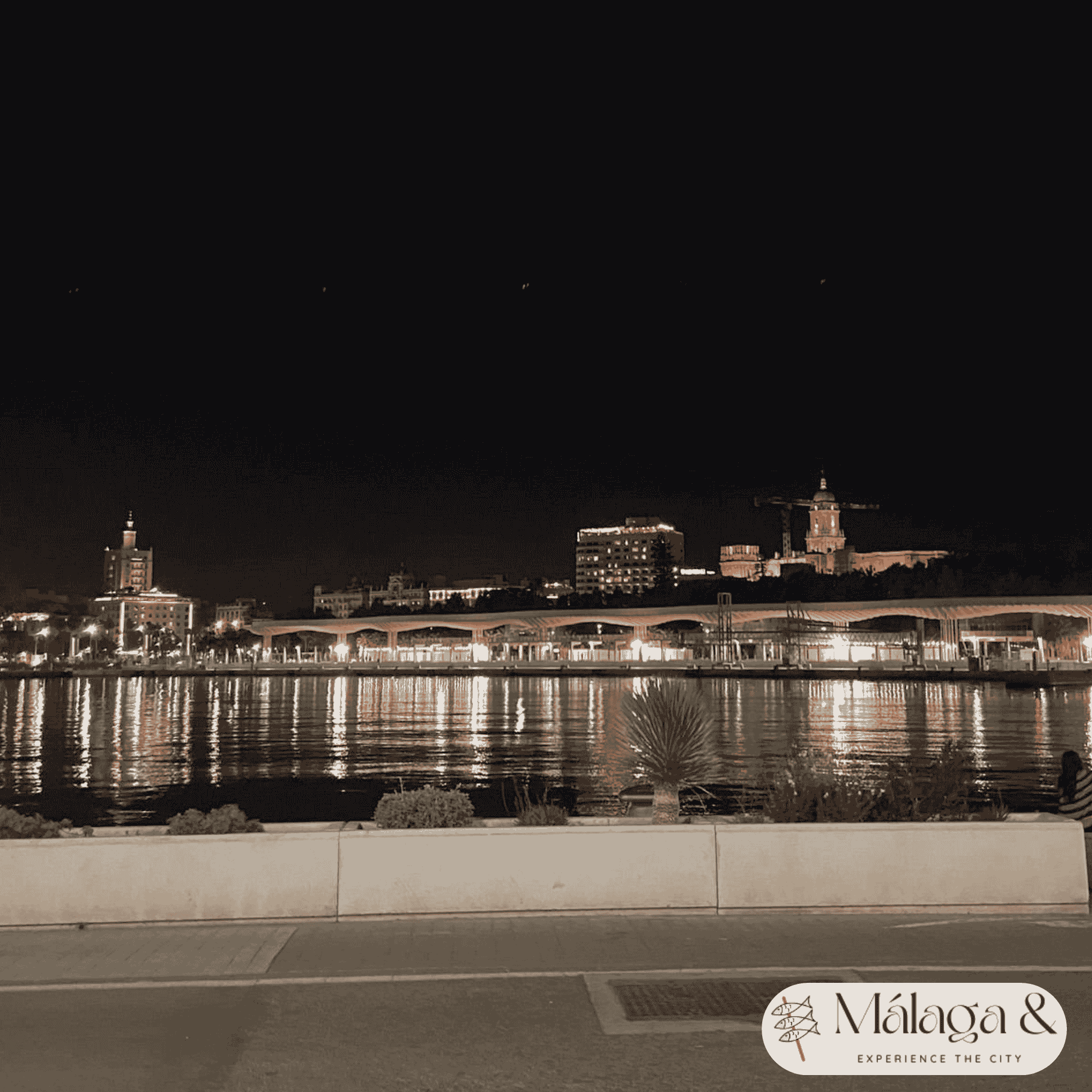 muelle-uno-night-malaga.png