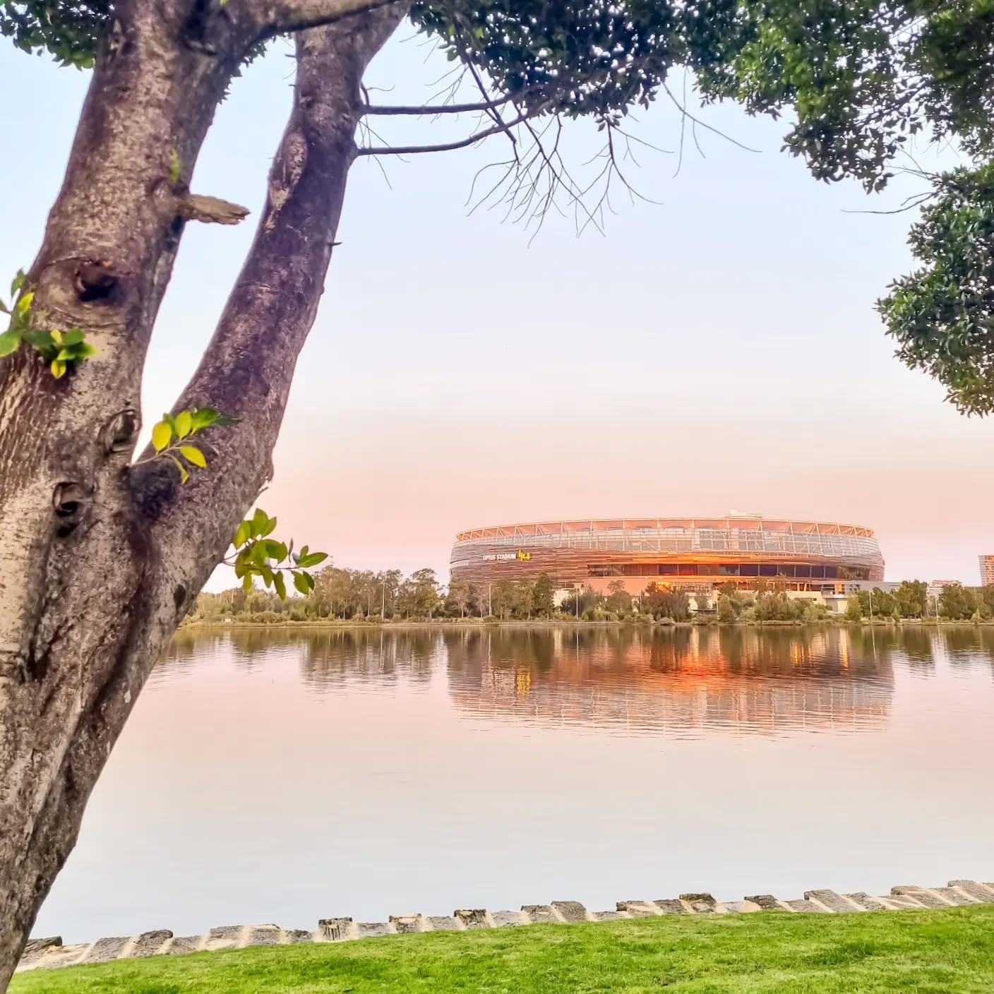 WISER OPTUS WALK copy.png