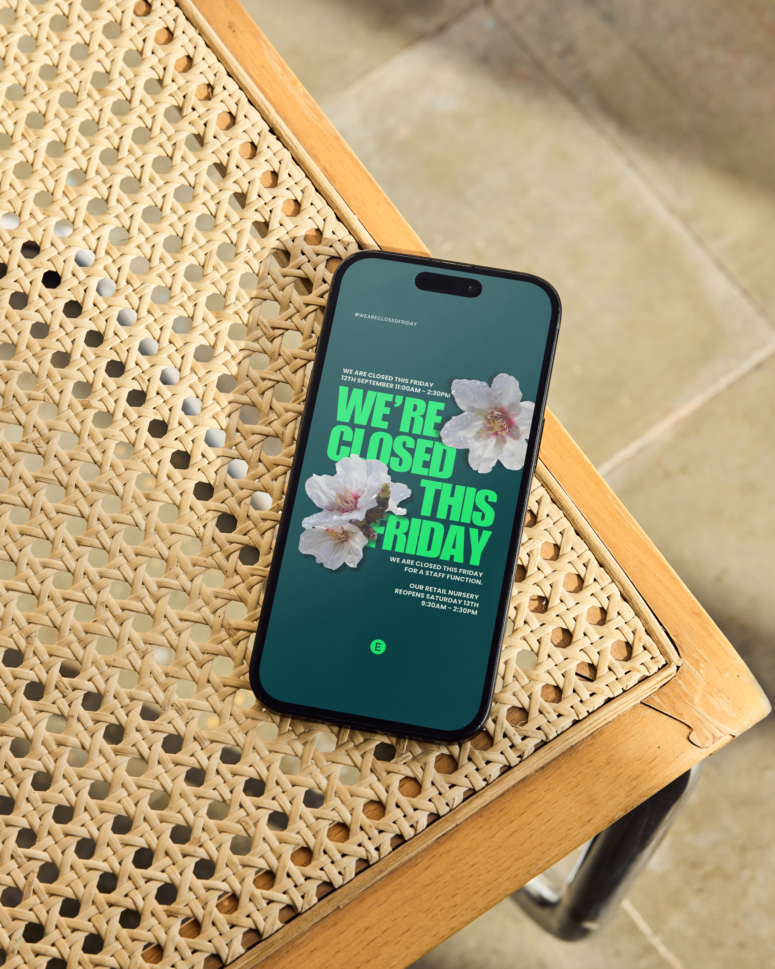 Social media management for Ellenby Tree Farm. Boost engagement, grow your audience, and showcase your business story online.