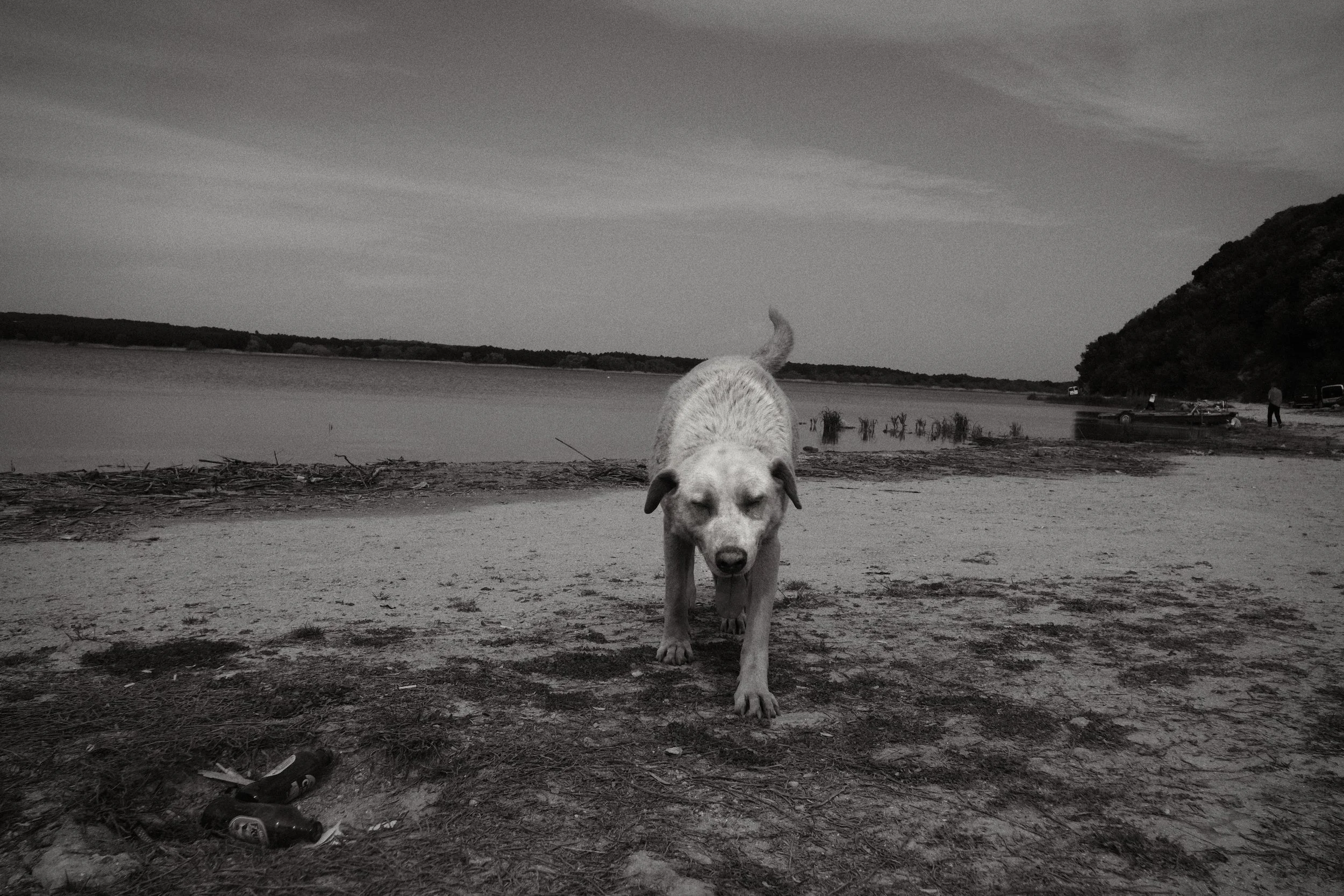 DSCF2218.jpg