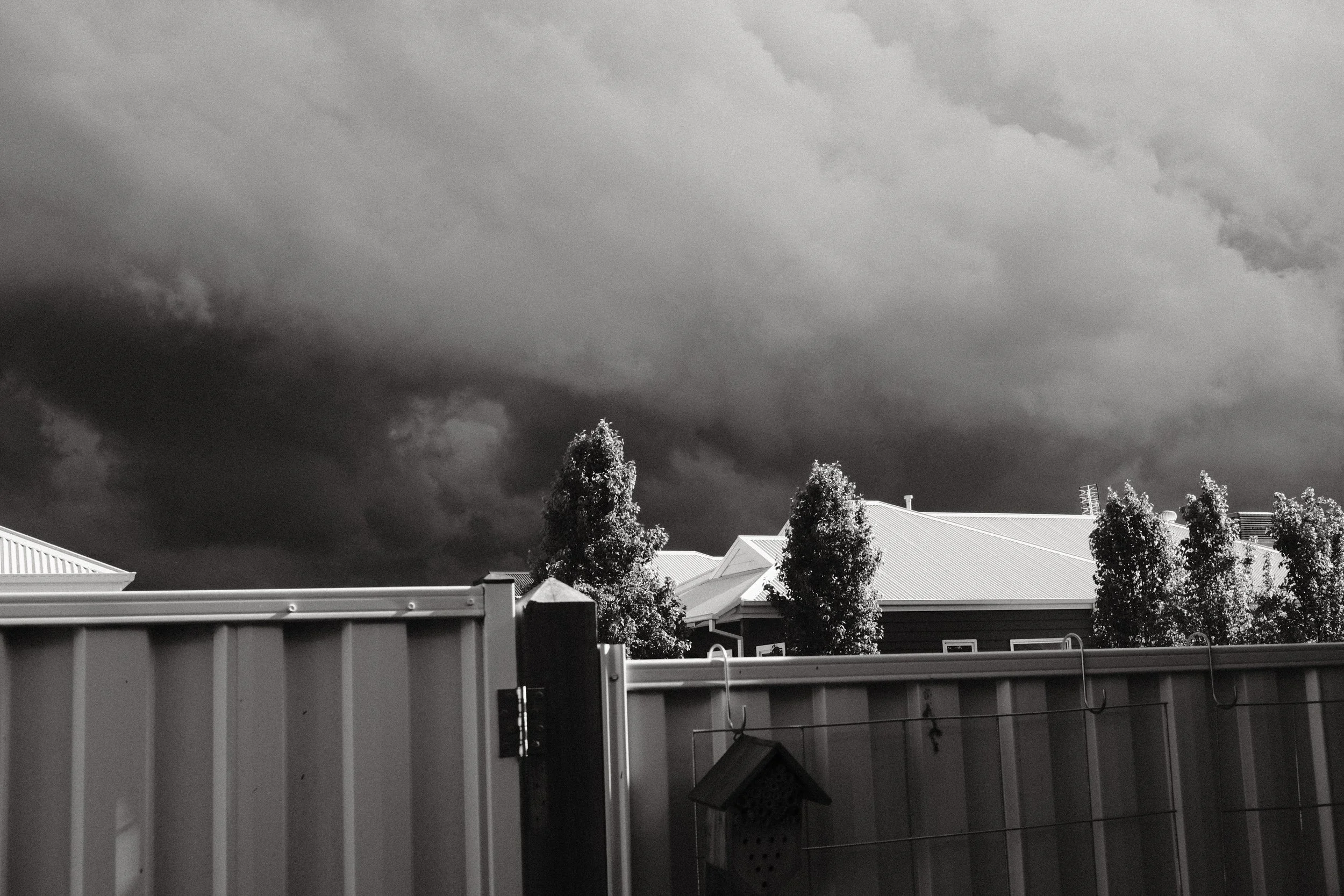 Melbourne_October 26, 2025_00144.jpg