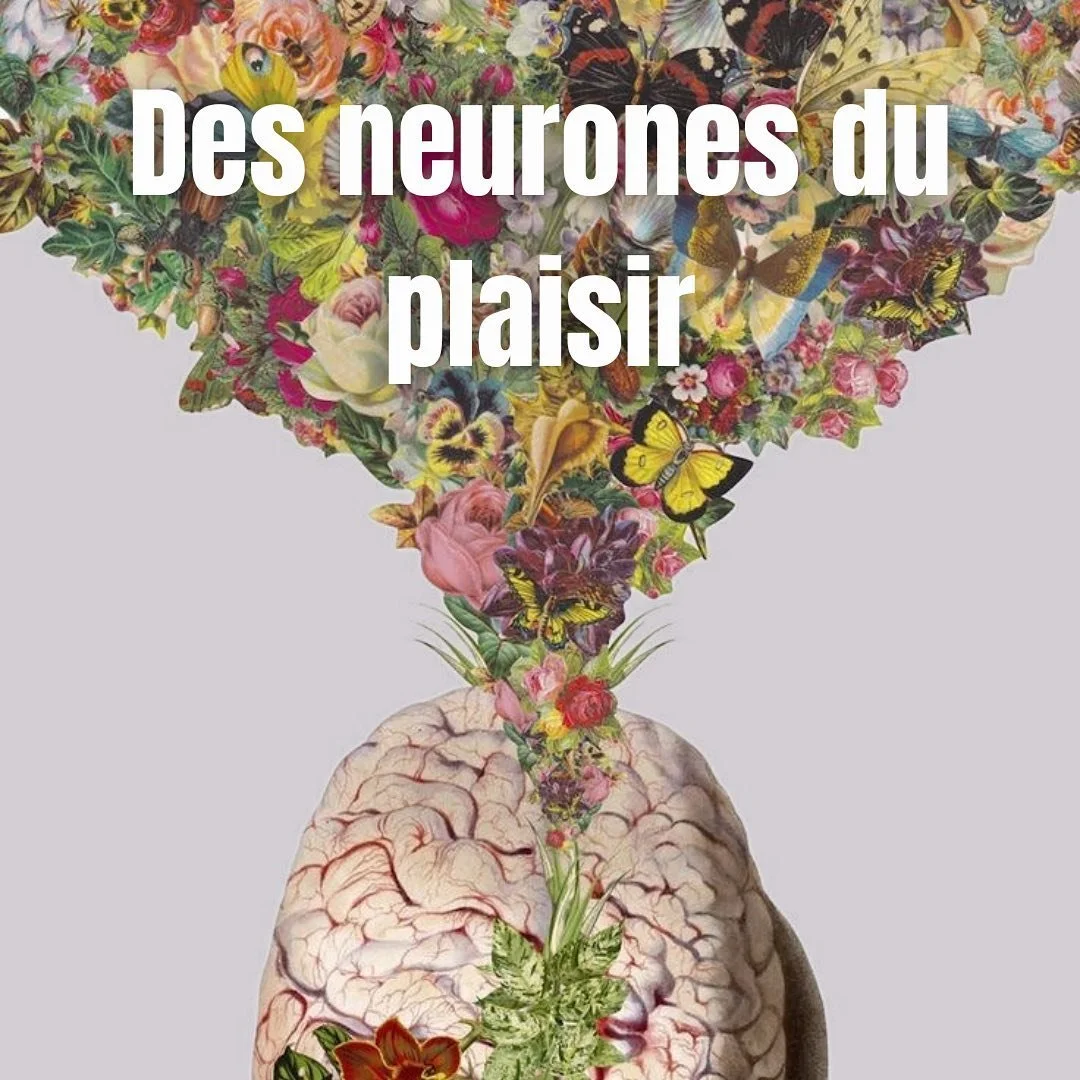 &laquo;&nbsp;Et votre corps est la harpe de votre &acirc;me. Il vous appartient d&rsquo;en tirer musique douce ou sons confus&nbsp;&raquo; - Khalil Gibran