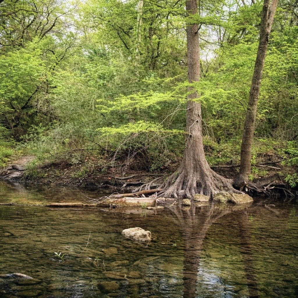 Buddha on Beyond Stillness: A Personal Transmission