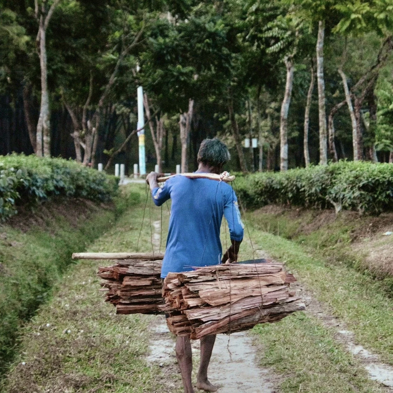 Buddha on Chopping Wood, Carrying Water