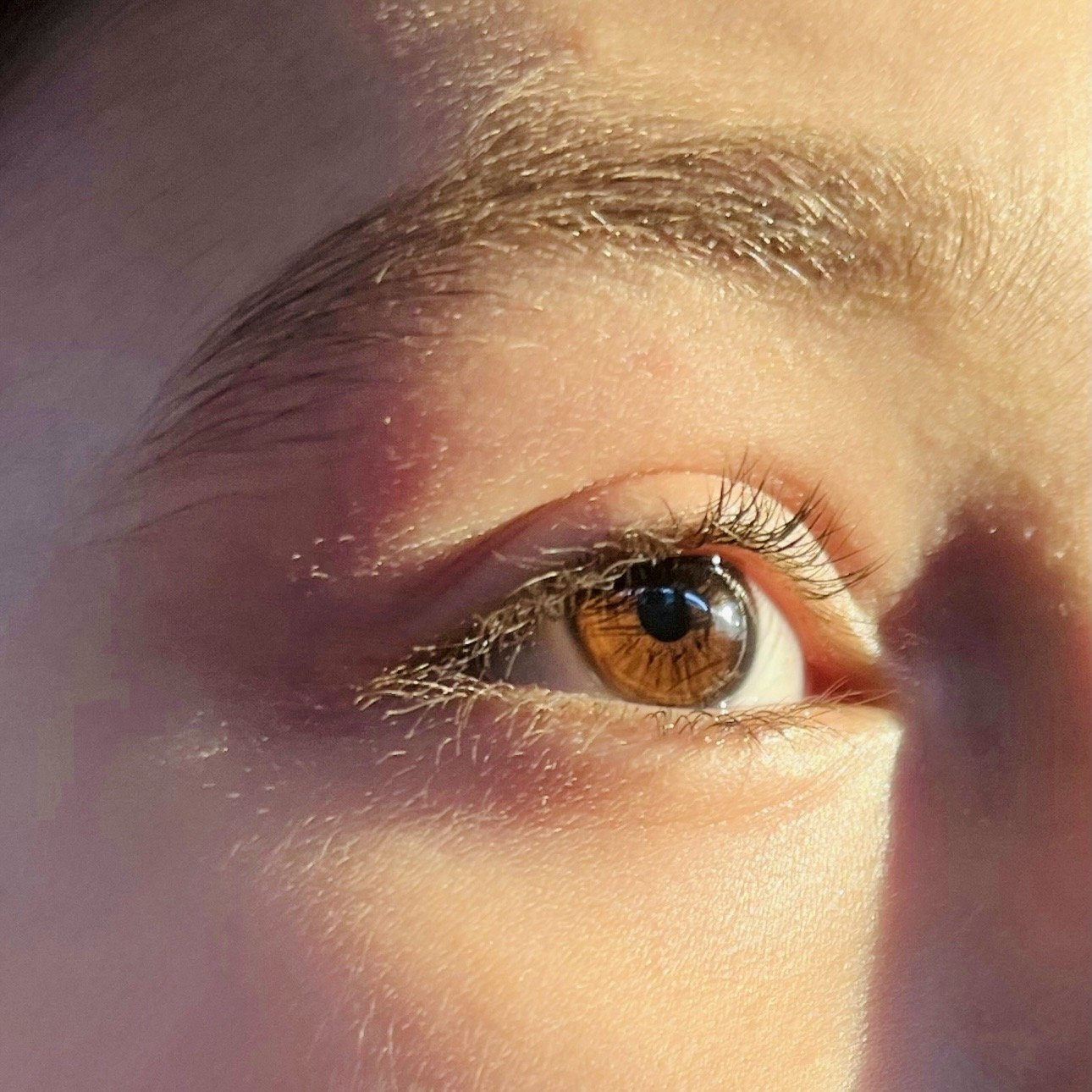 Buddha on the Wonder of Your Eyes
