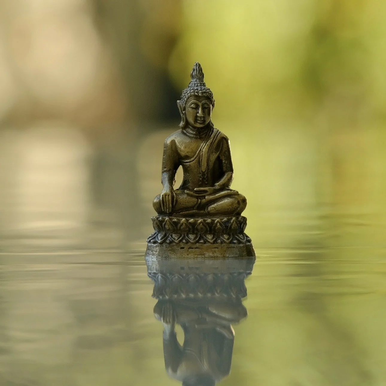 Buddha on the Heart's Knowing