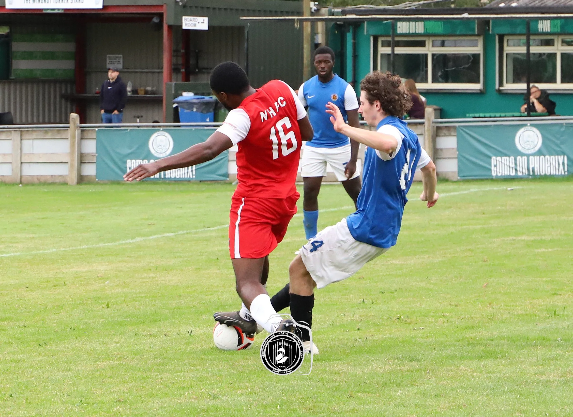 IMG_4855.jpg