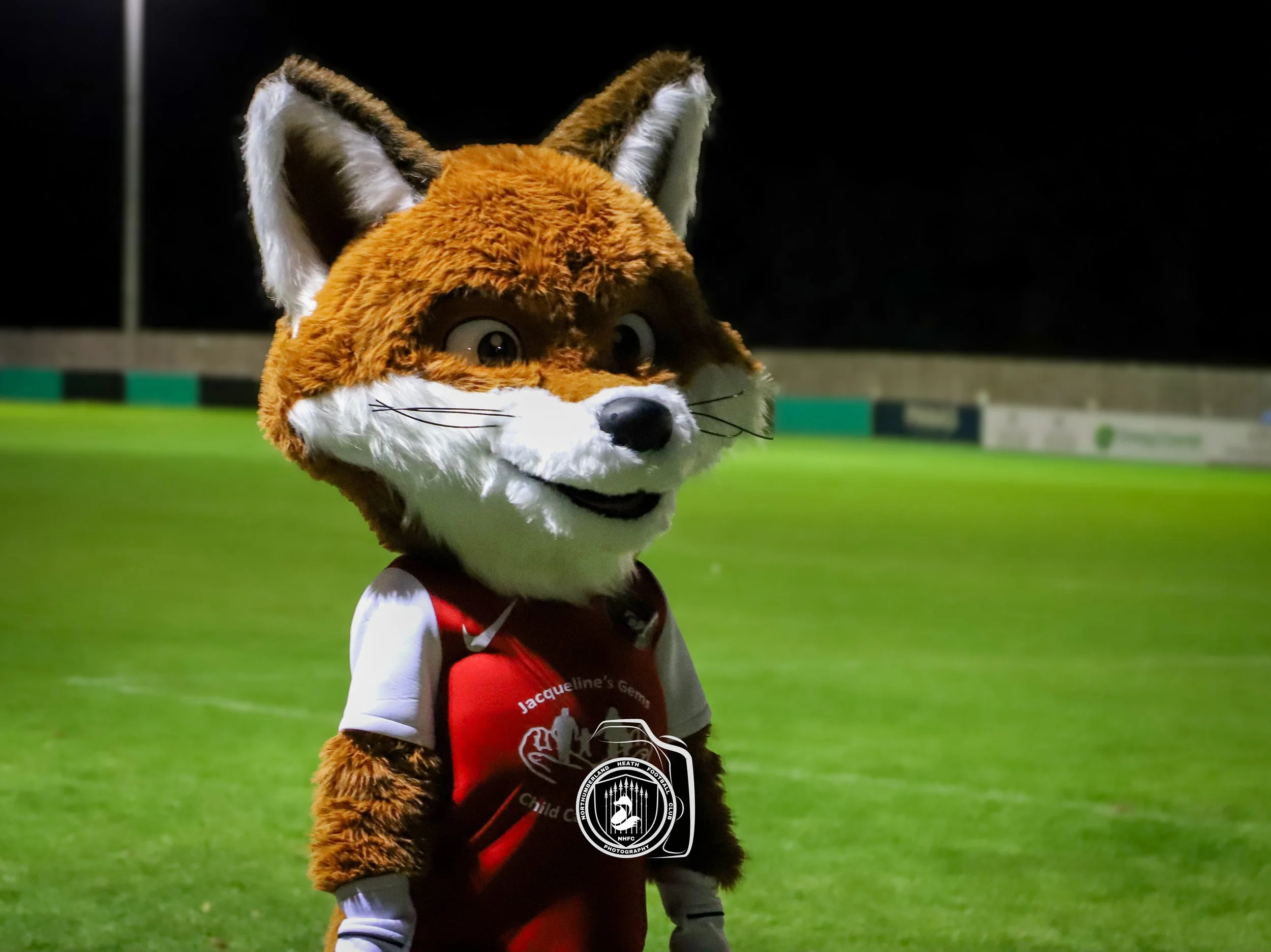 IMG_9870.jpg