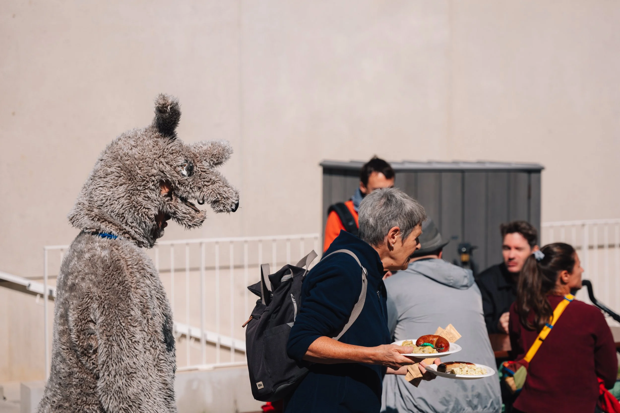 Fête des Plaines-du-Loup_47.jpg