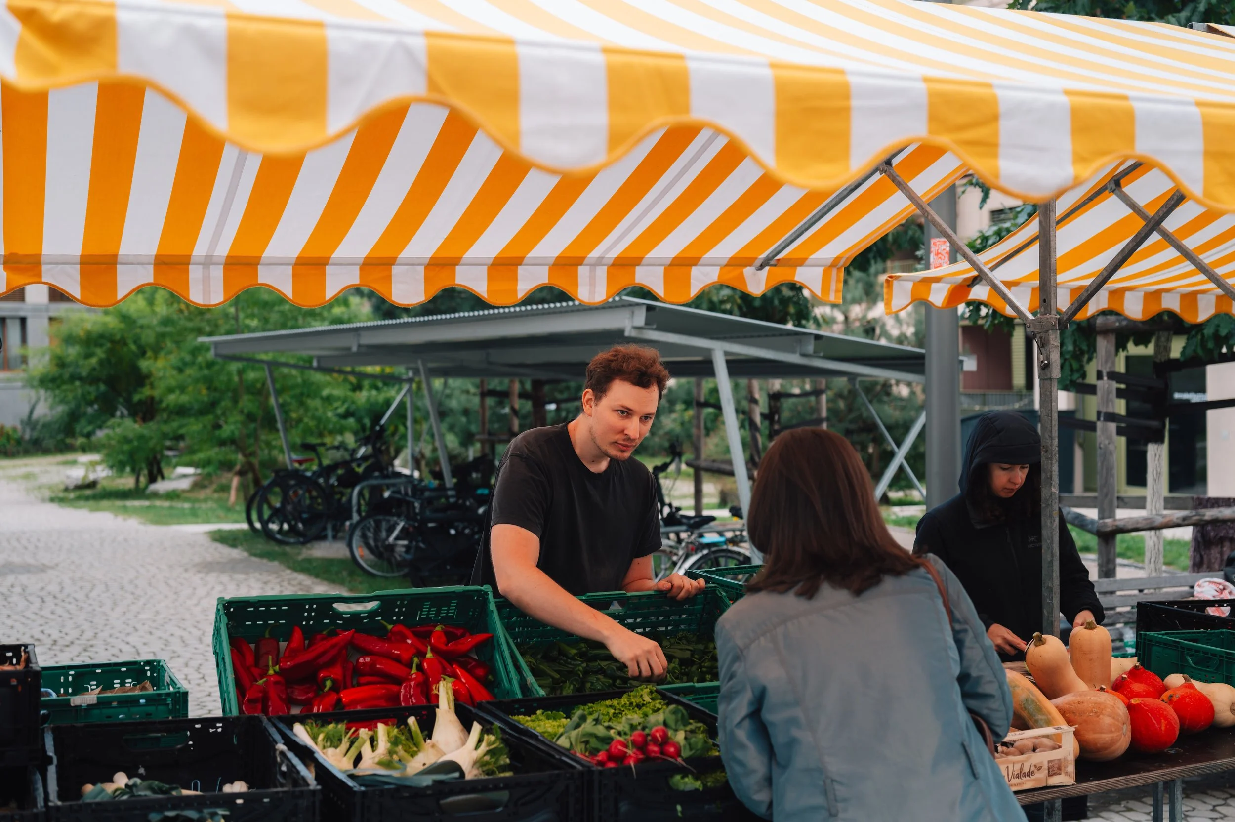 Fête des Plaines-du-Loup_20.jpg
