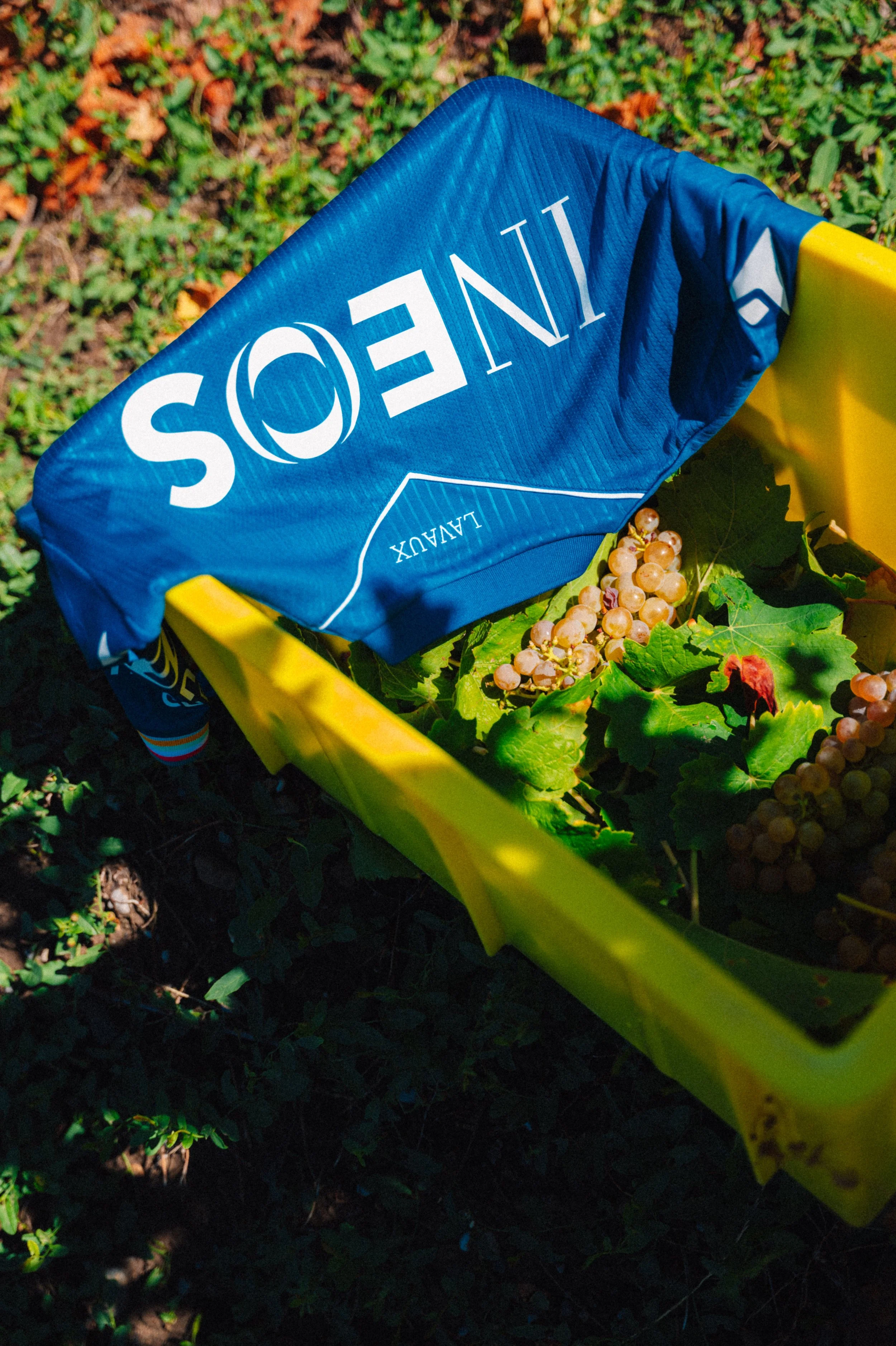 Une grappe de raisins blancs dans un panier jaune, avec un sac bleu portant le mot 'SØNTE' reposant sur des feuilles vertes et de la terre.
