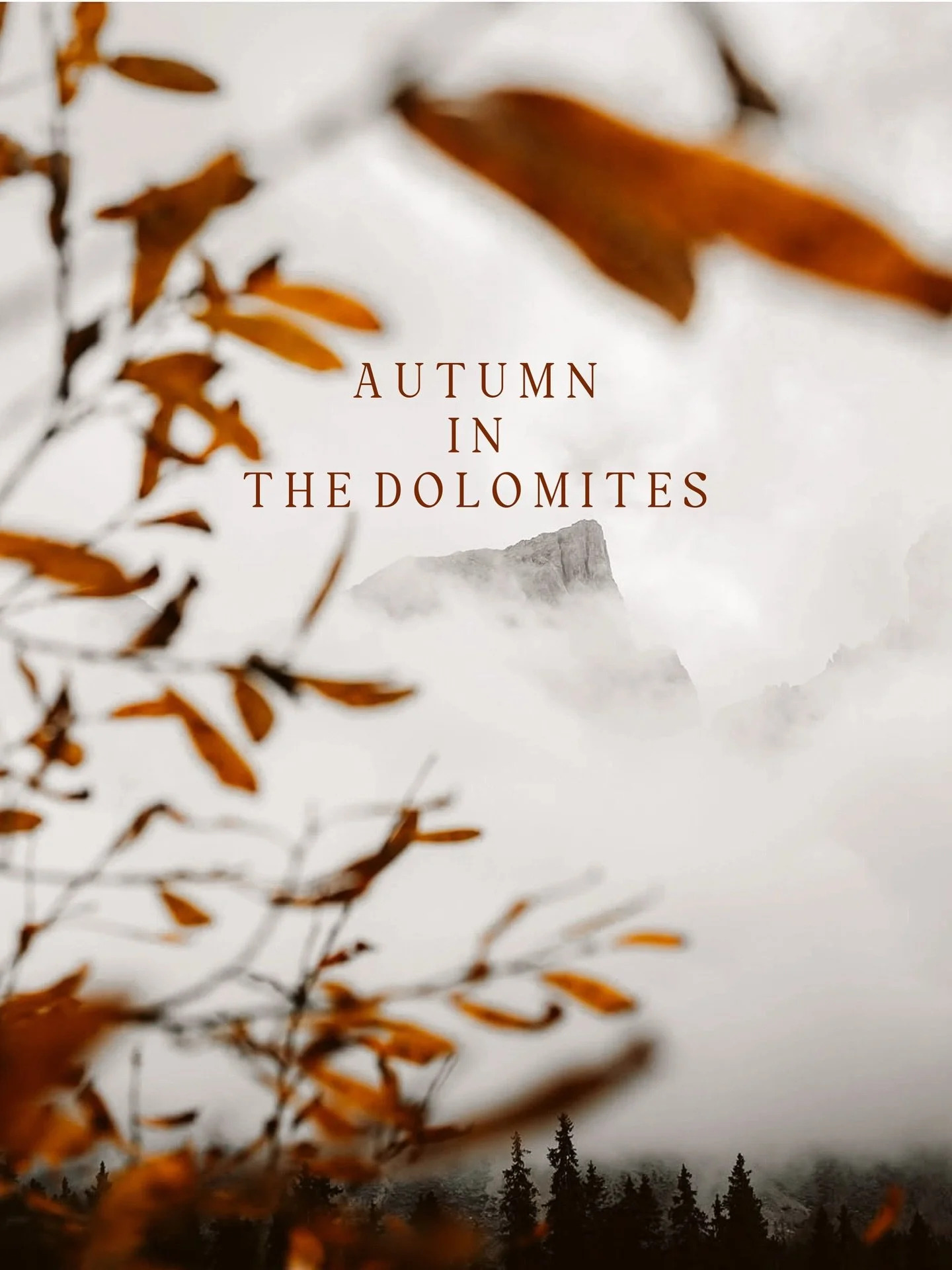 Autumn thrives inthe Dolomites &mdash; a season of shifting light, golden leaves, and mountain cloud inversions. This place was on my bucket list for ever and didn&rsquo;t disappoint. Here&rsquo;s a small collection of photography capturing the beaut