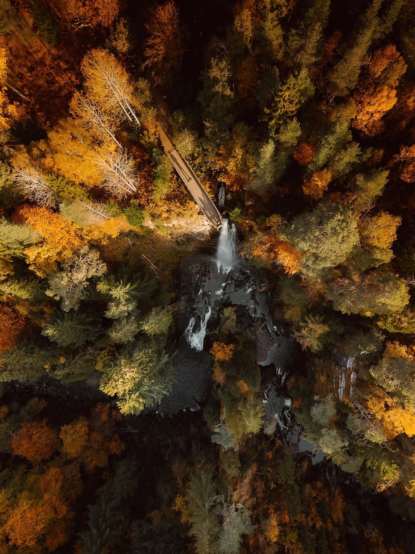 Couldn&rsquo;t resist celebrating autumn on here one more time.
Photographing Plodda Falls was everything I love about Scotland in this season &mdash; texture, colour and so much atmosphere.

A simple wander through the forest that turned into one of