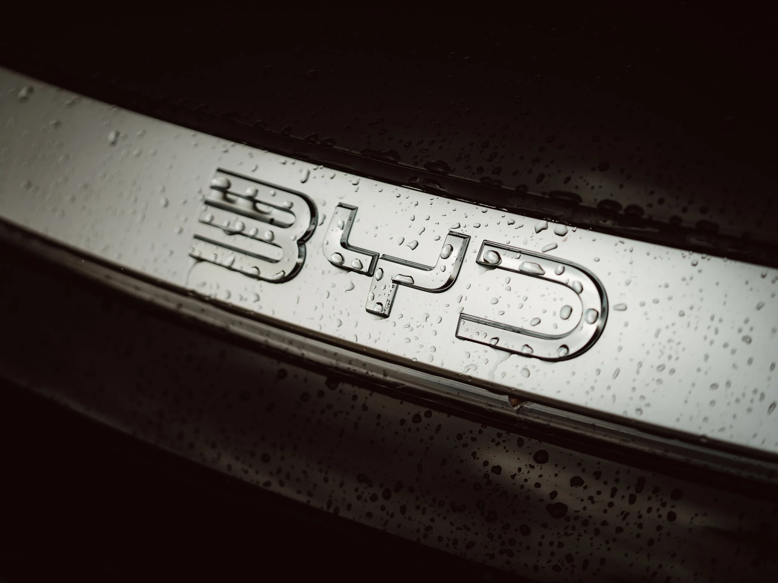 BYD x Lloyd Evans -Wales March 20268.jpg