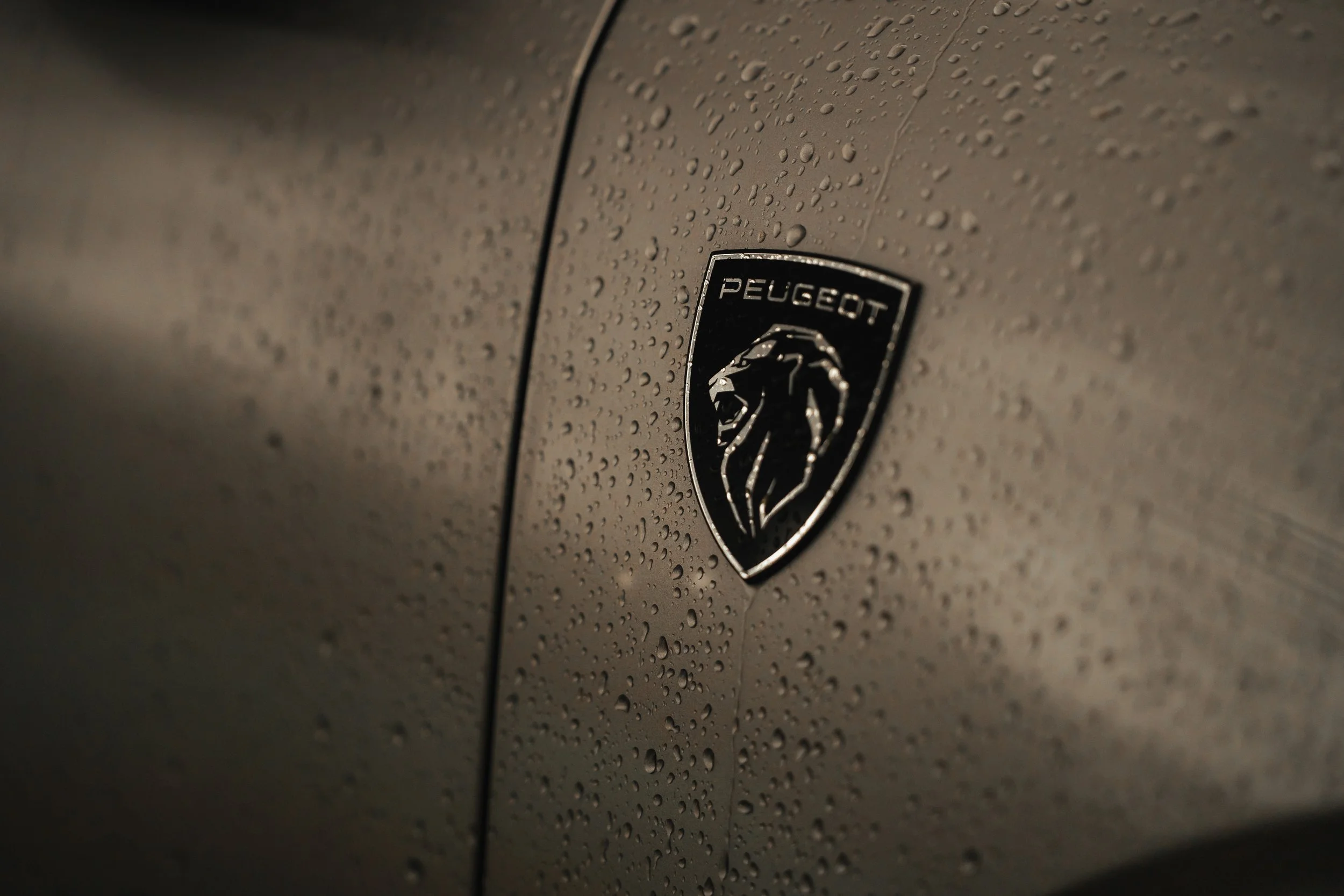 Lloyd Evans x Peugeot Scotland 2025 10.jpg