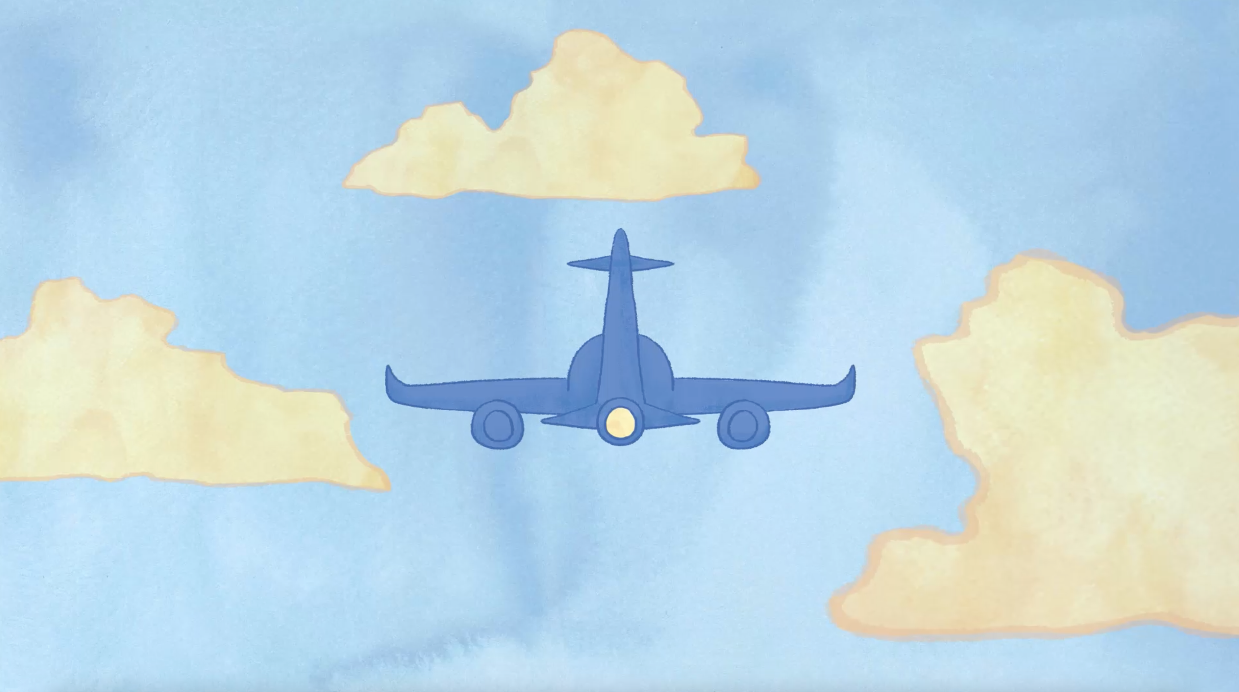 plane photo.png