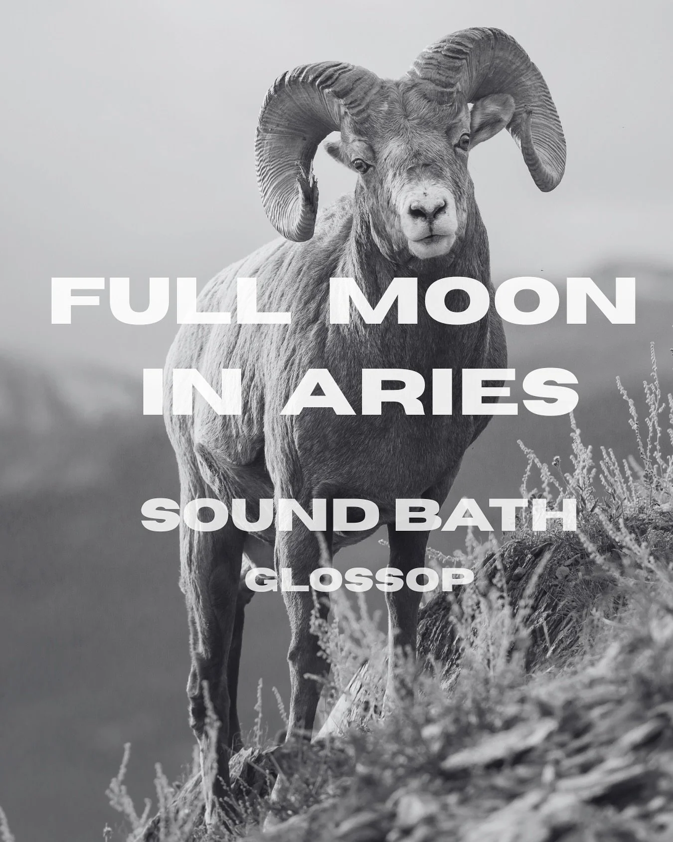 Super Moon in Aries Sound Bath 🔥🌝🐏

Monday 6th of October
Bradbury Community House Glossop
6.30pm
Exchange &pound;15

On this Monday Medicine Session we will be tuning into the divine warrior energy of Aries and putting some focus on the heart cha