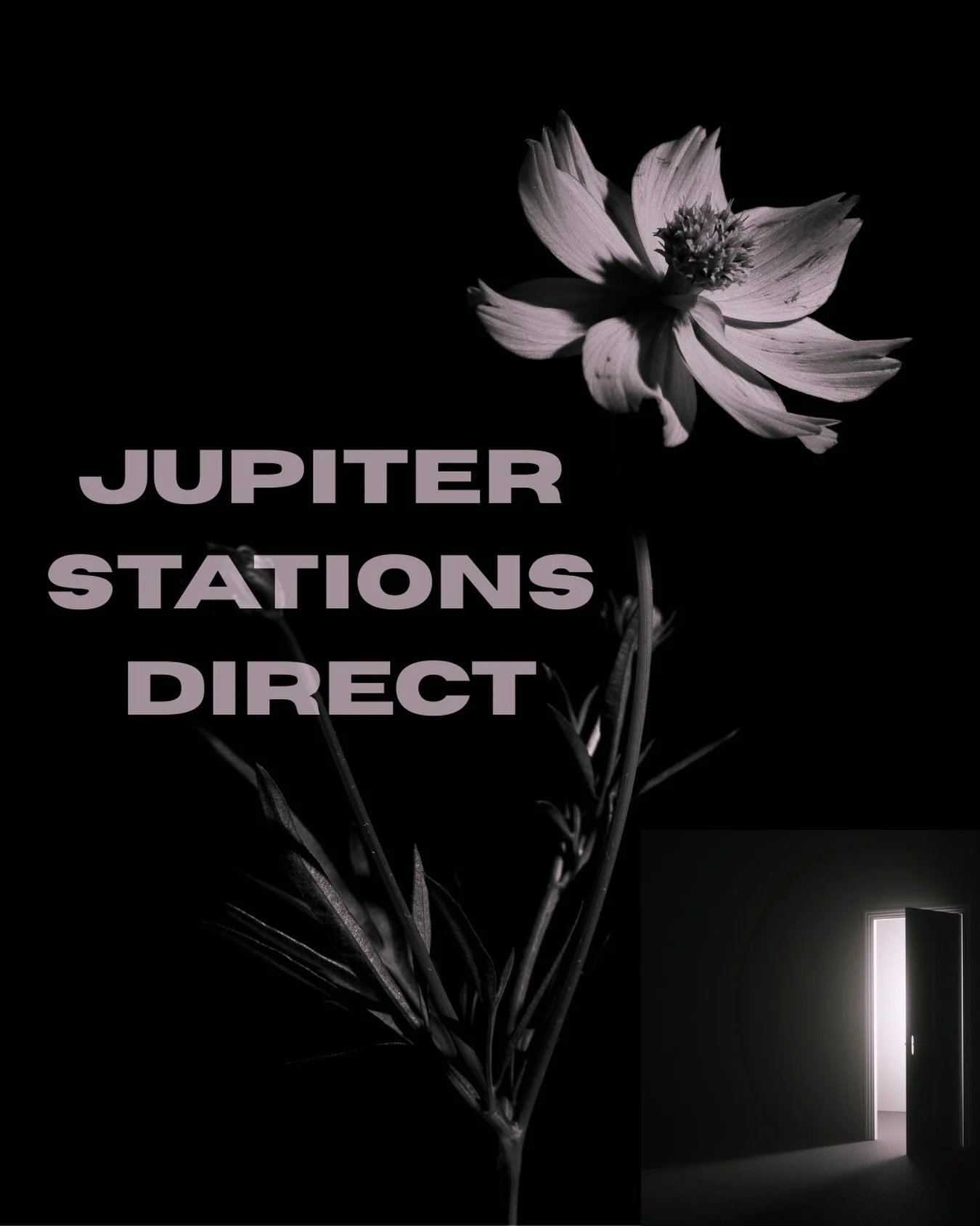 I hope you are all hanging in there. I know some of us might be feeling a little bit hopeless at the moment, but I can tell you that there is some hopeful astrology for humanity at this time.

There&rsquo;s messaging about us coming together and real
