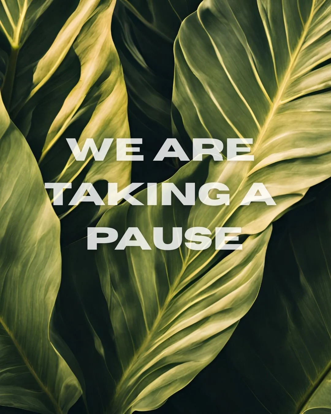 We are taking a break.

We are putting a pause on Monday Medicine over the summer while Katie settles into her new job role as a therapeutic residential care worker, begins her photography wedding season and completes her Gong Practitioner training. 