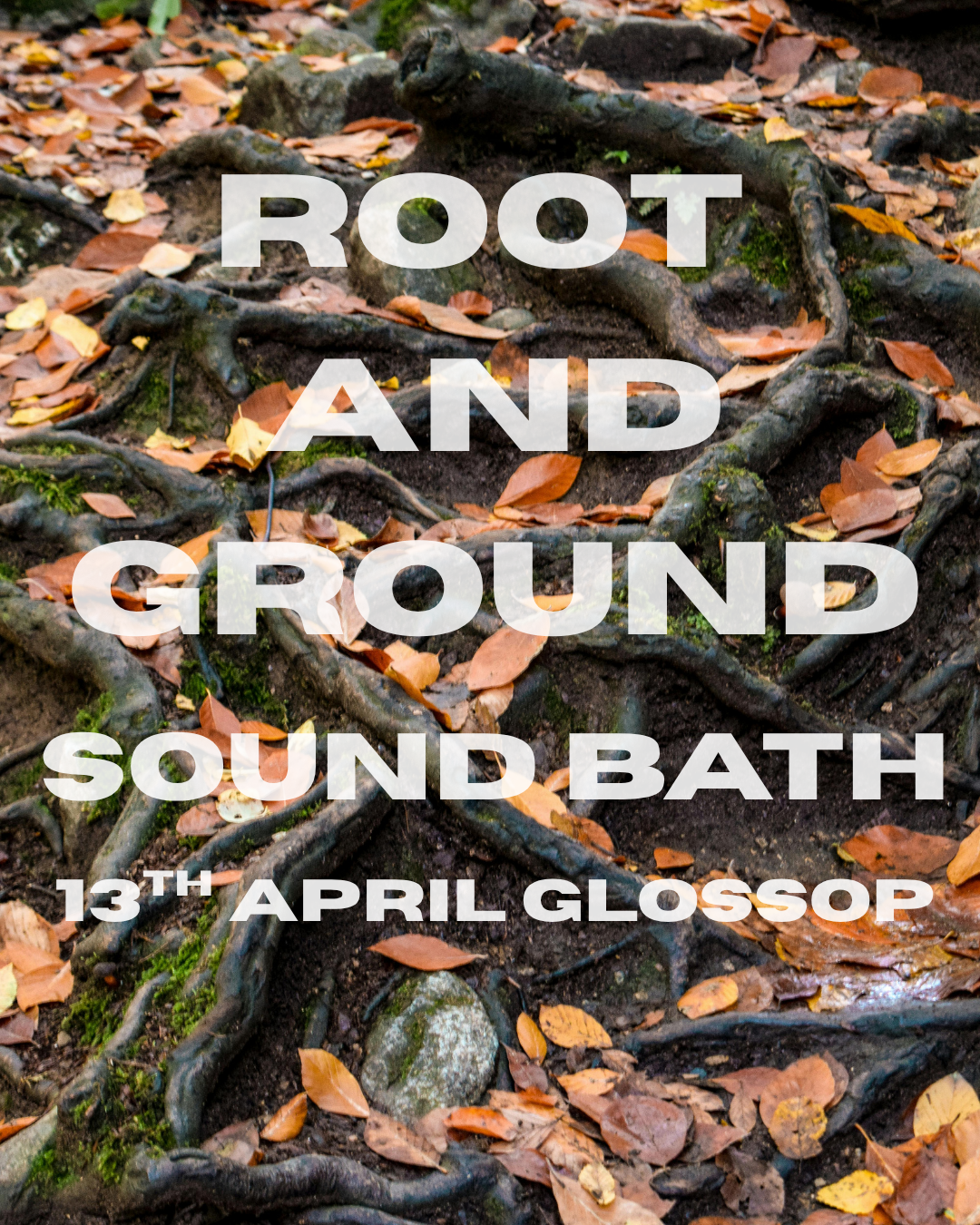 root and Ground.png