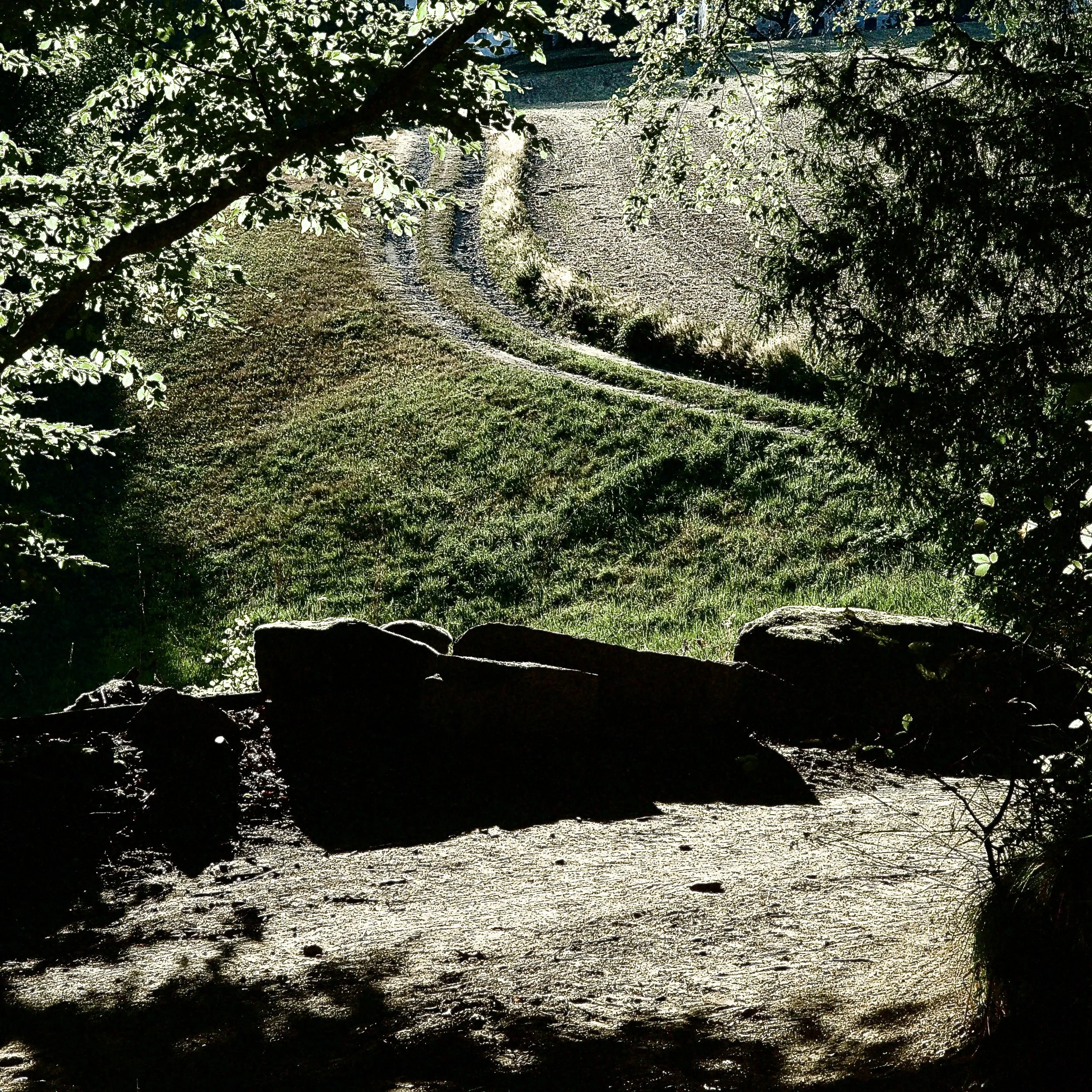 L1023539.jpg
