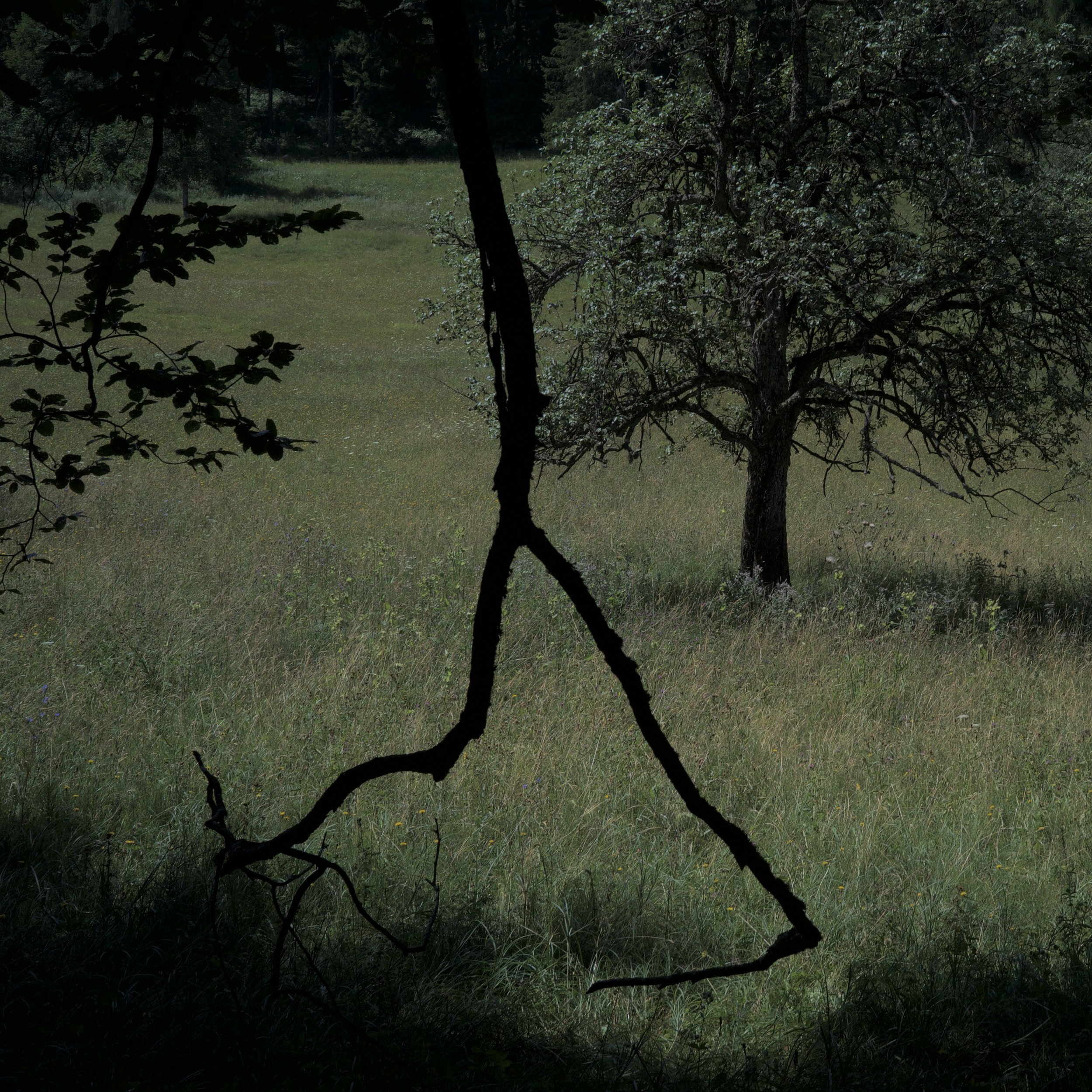 L1023495.jpg