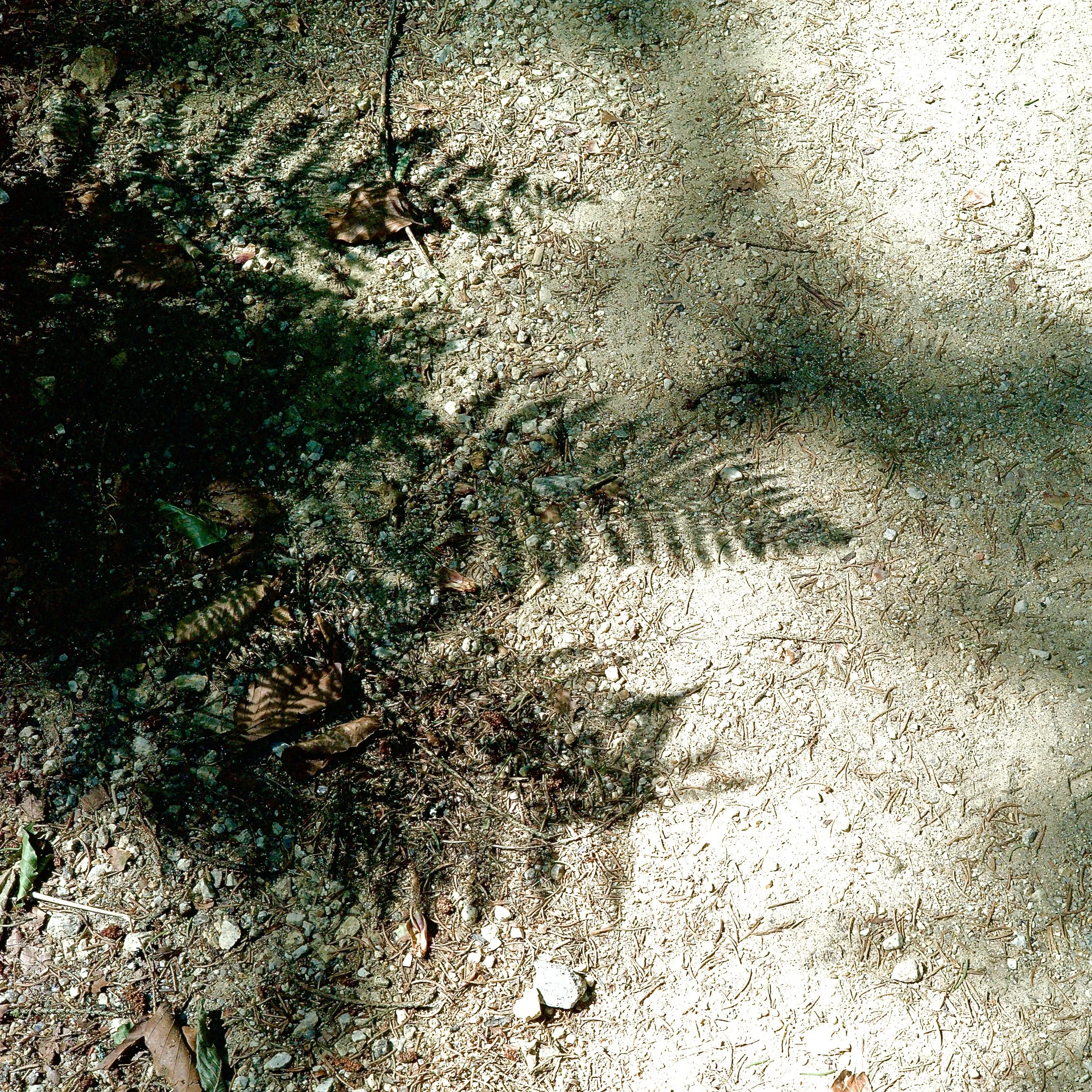 L1023528.jpg