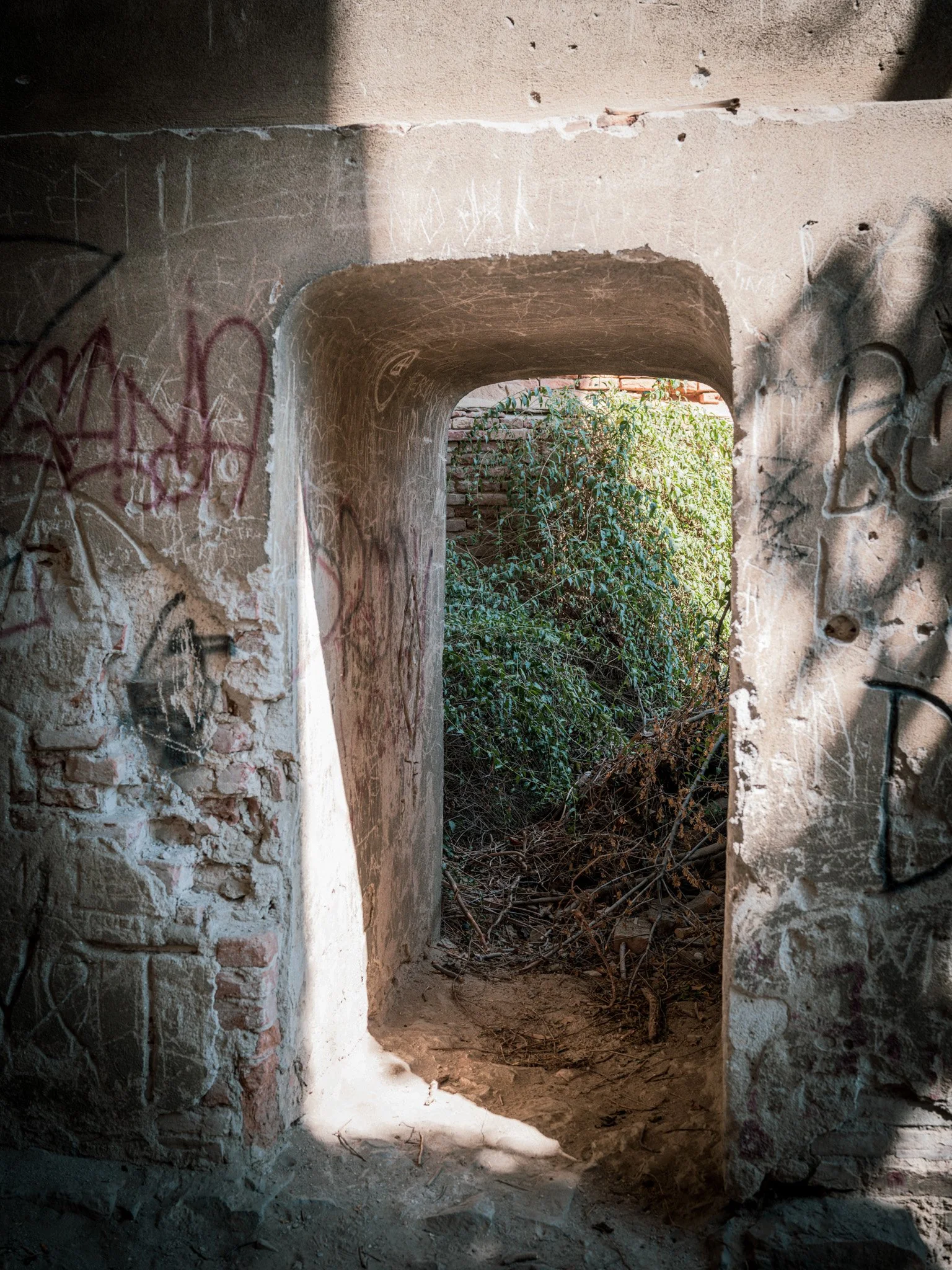 DSCF6435.jpg