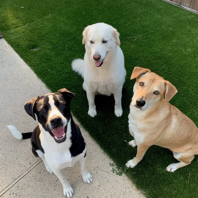 Screenshot 2024-08-12 at 11.12.11 PM.png