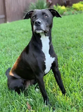 Screenshot 2024-08-12 at 11.08.36 PM.png